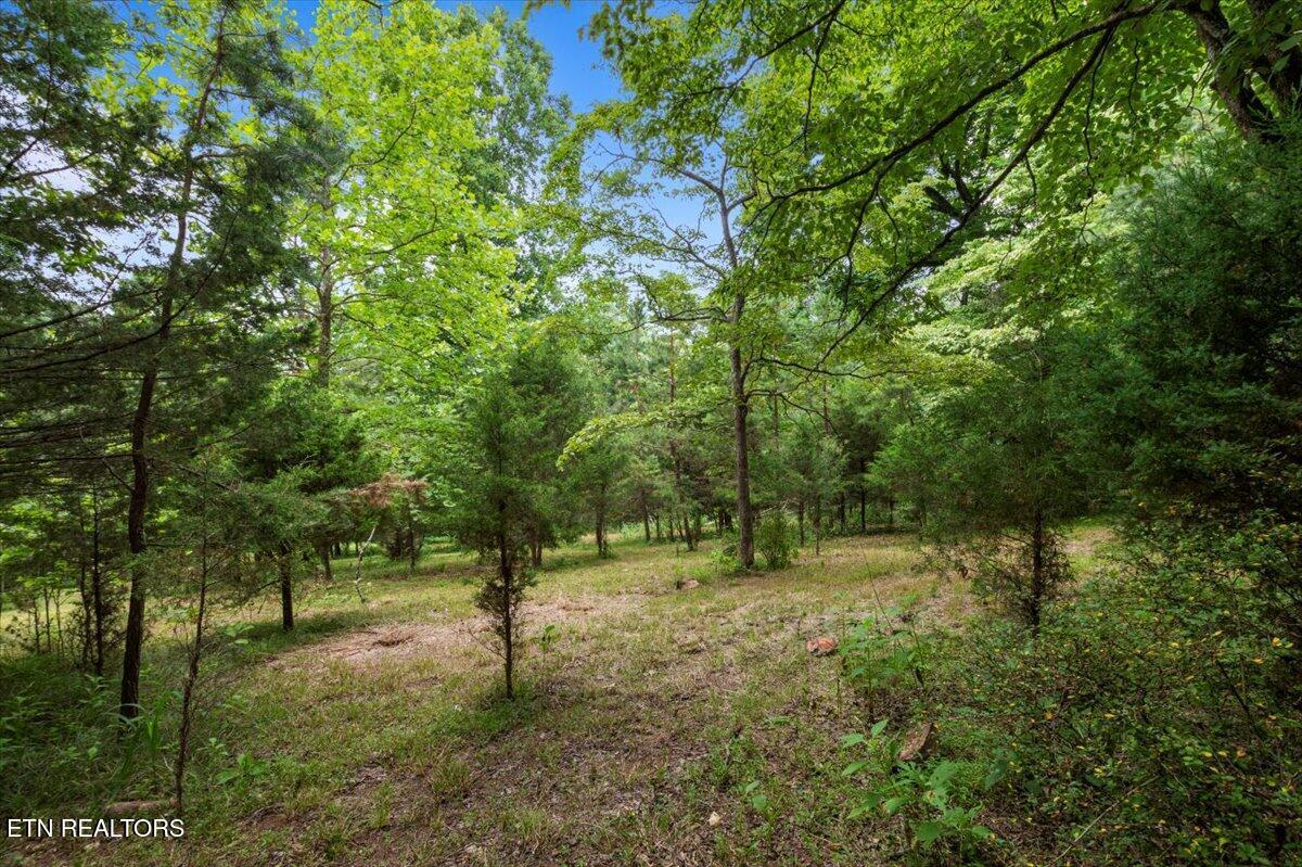 46, 47, 48 Bucks and Doe Lane, Lafollette, TN - Norris Lake Real Estate - Image# 4