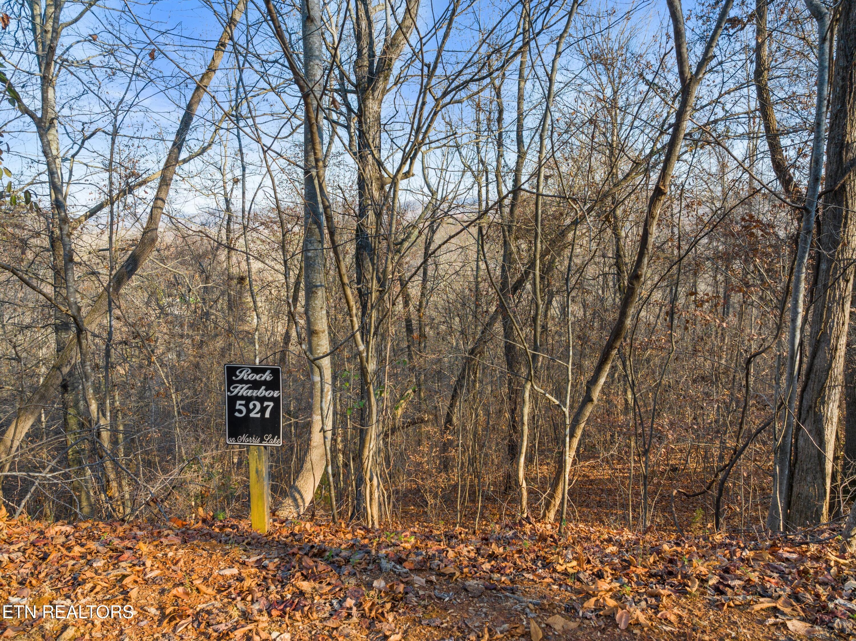 527 & 528 Garnet Tr, New Tazewell, TN - Norris Lake Real Estate - Image# 5