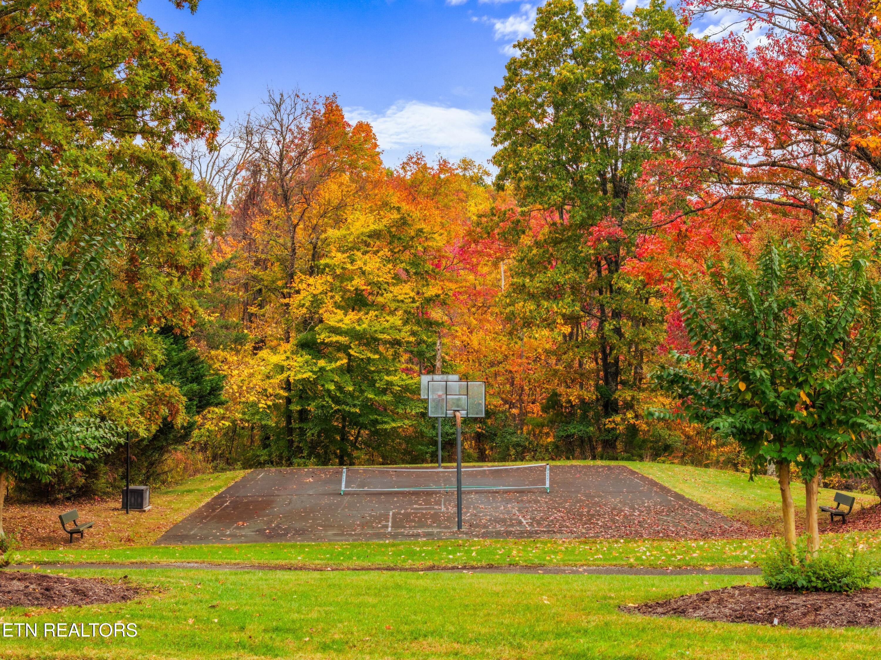 527 & 528 Garnet Tr, New Tazewell, TN - Norris Lake Real Estate - Image# 24