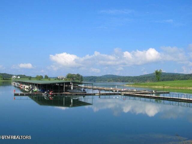 Lot 197 Captains Cove, Sharps Chapel, TN - Norris Lake Real Estate - Image# 11