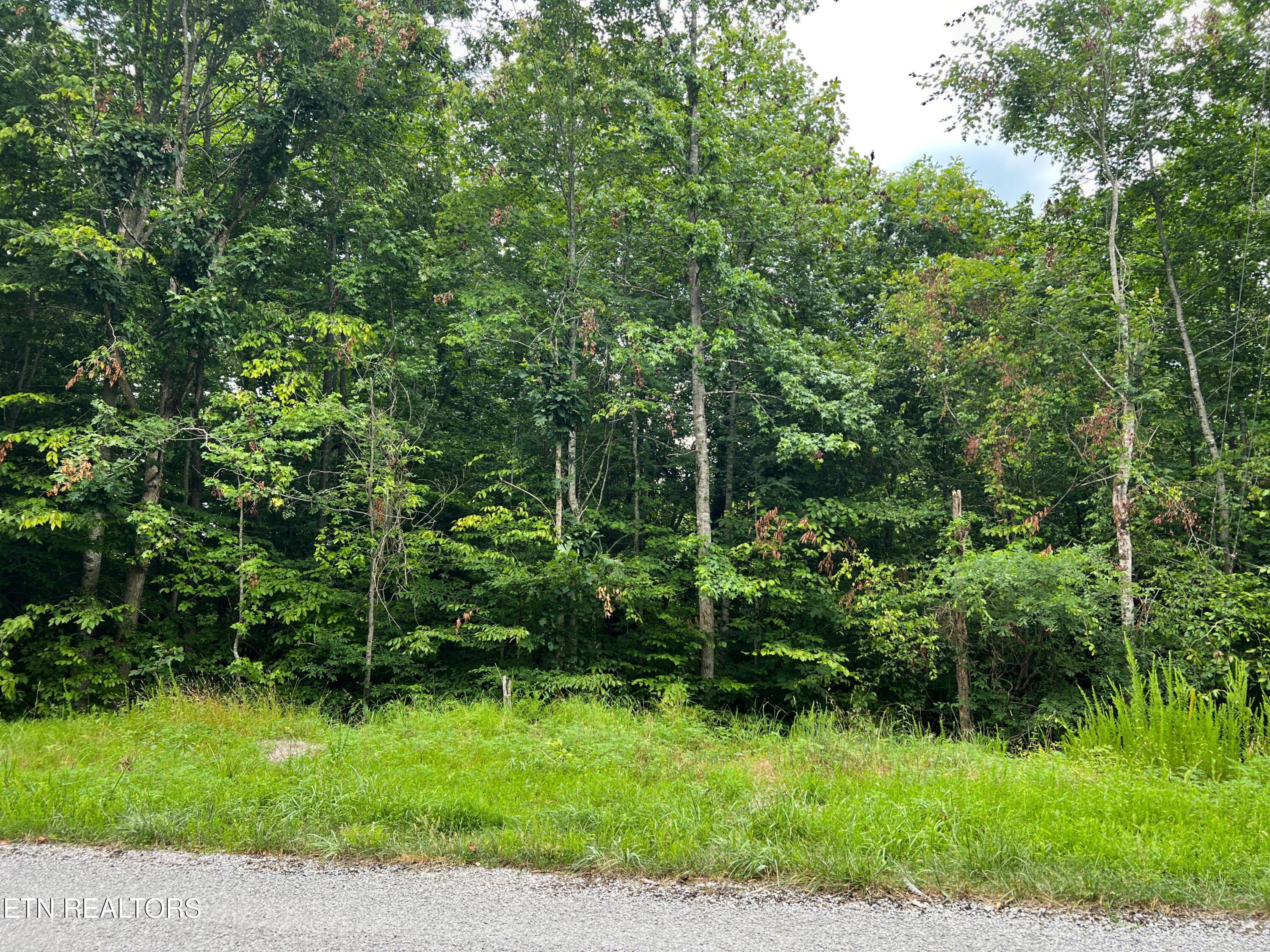119 Laurel Wood Rd, Tazewell, TN - Norris Lake Real Estate - Image# 7