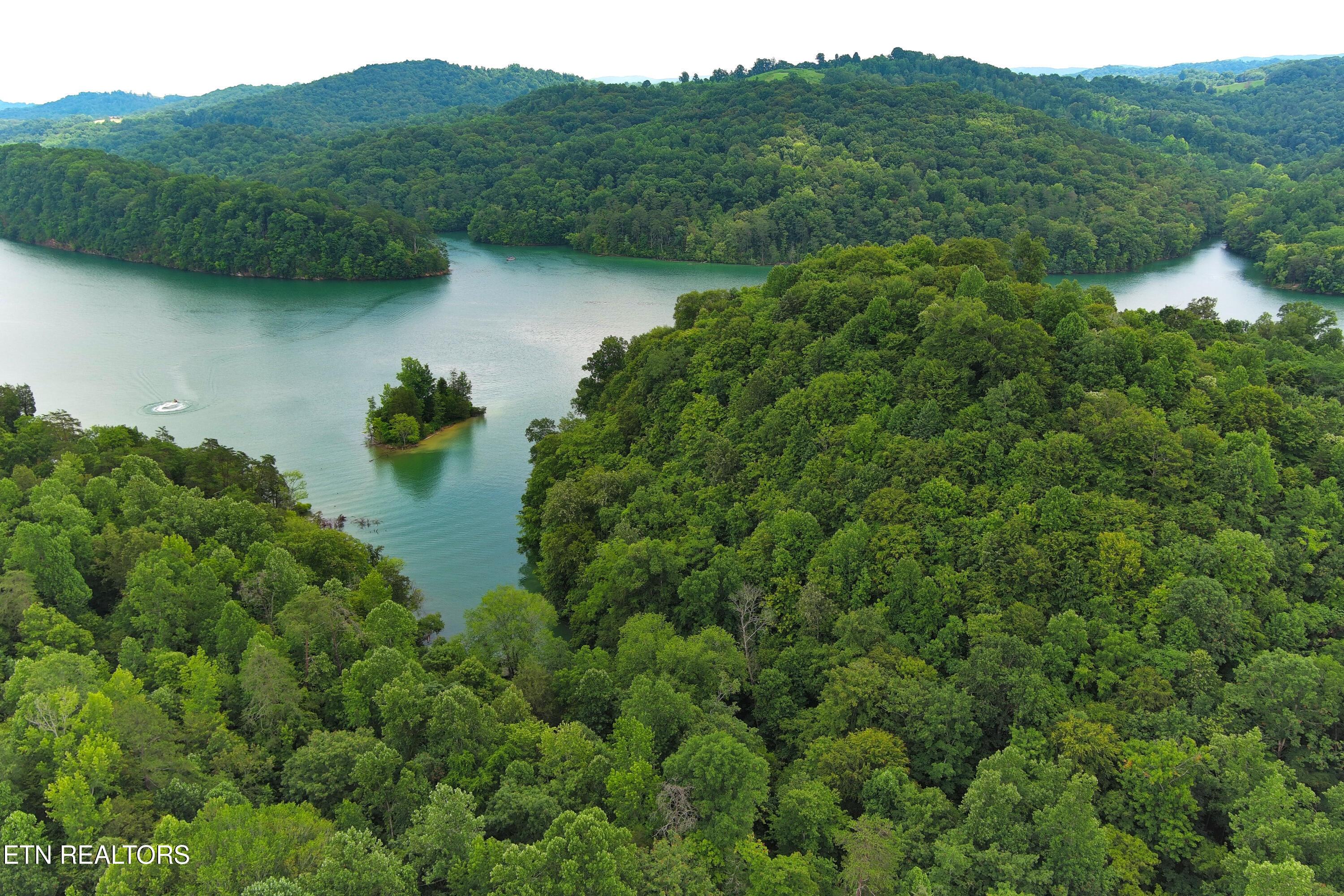 119 Laurel Wood Rd, Tazewell, TN - Norris Lake Real Estate - Image# 4