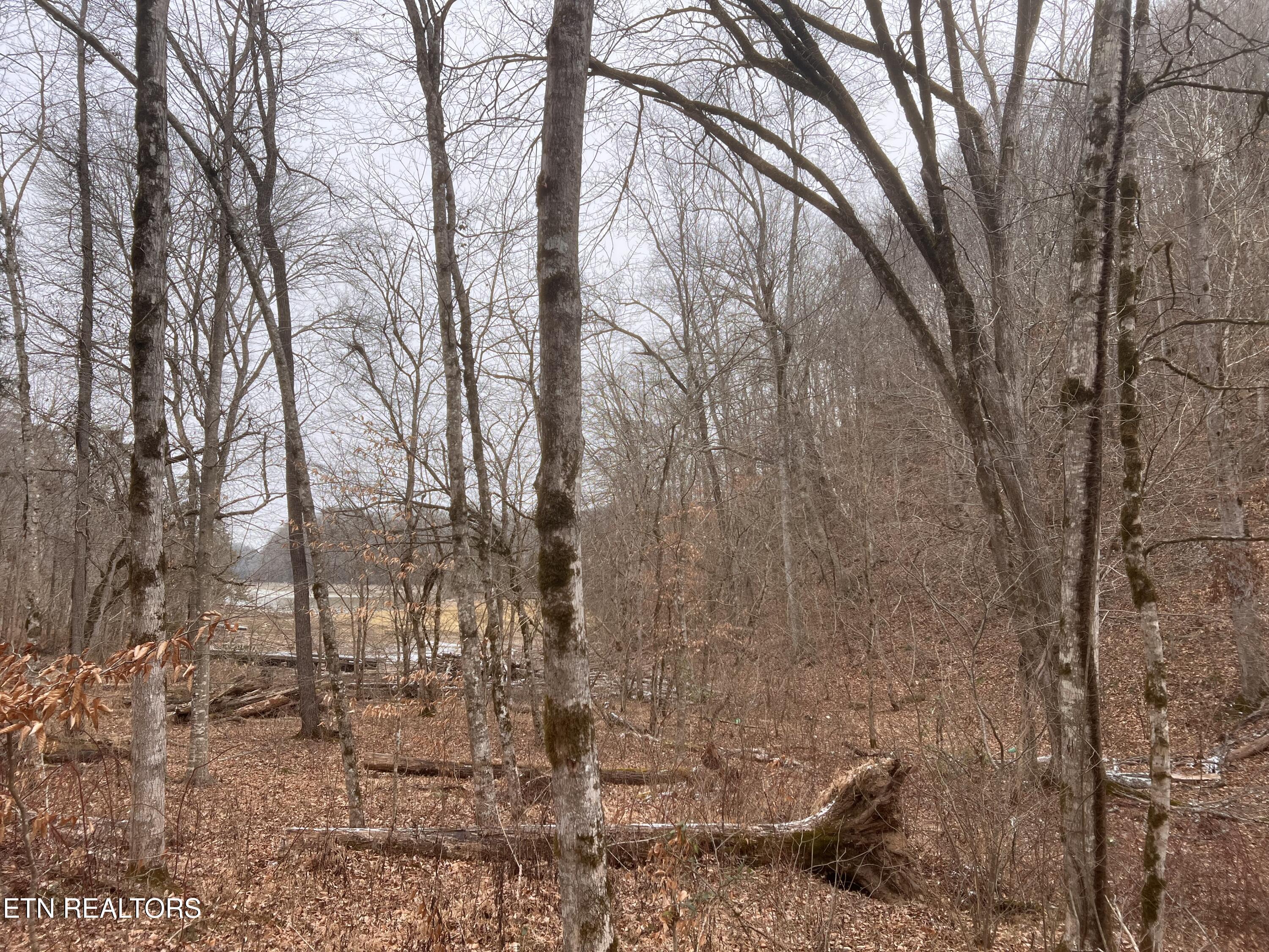 119 Laurel Wood Rd, Tazewell, TN - Norris Lake Real Estate - Image# 18