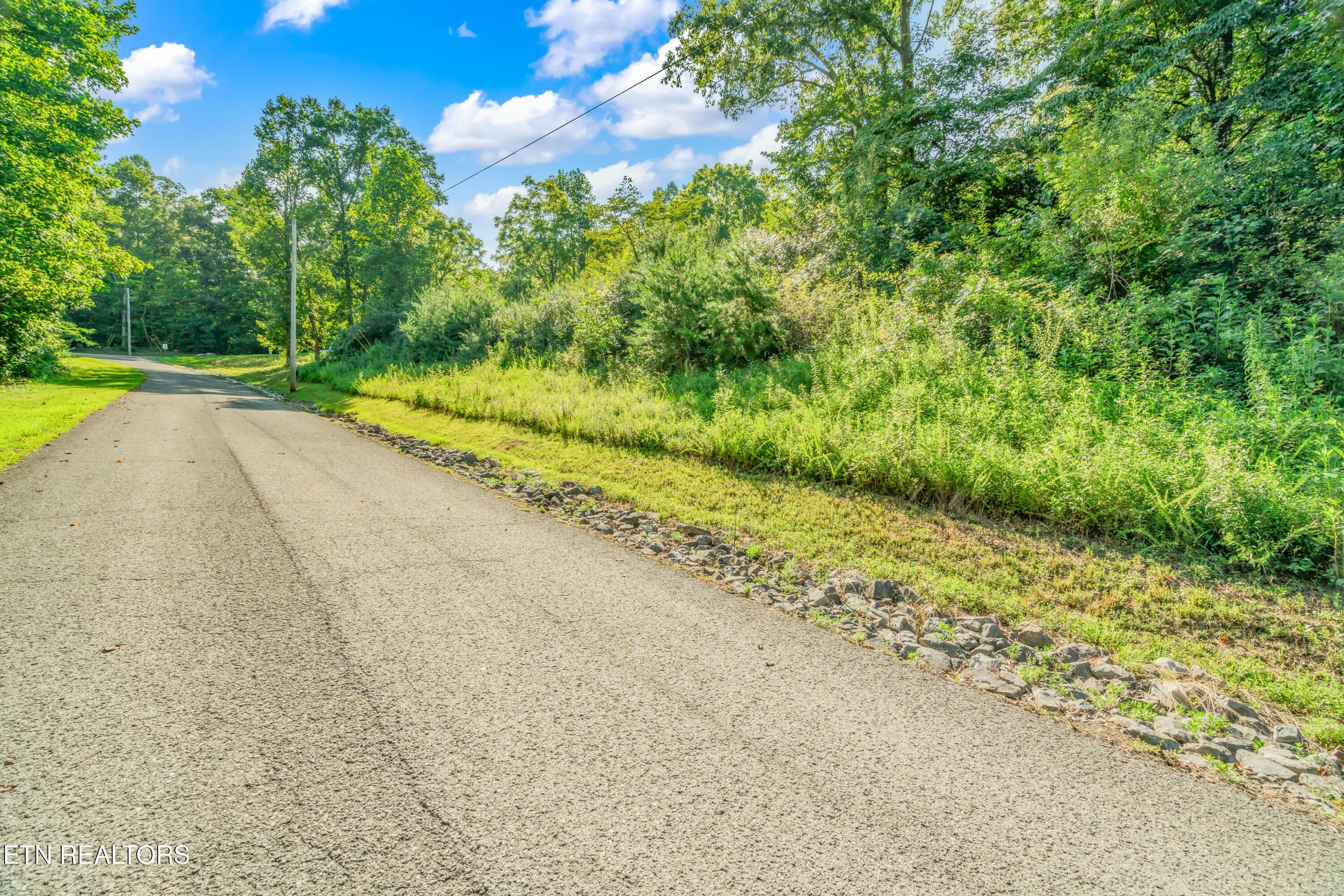 Lot 2 Shanghai Landing Lane, Lafollette, TN - Norris Lake Real Estate - Image# 4
