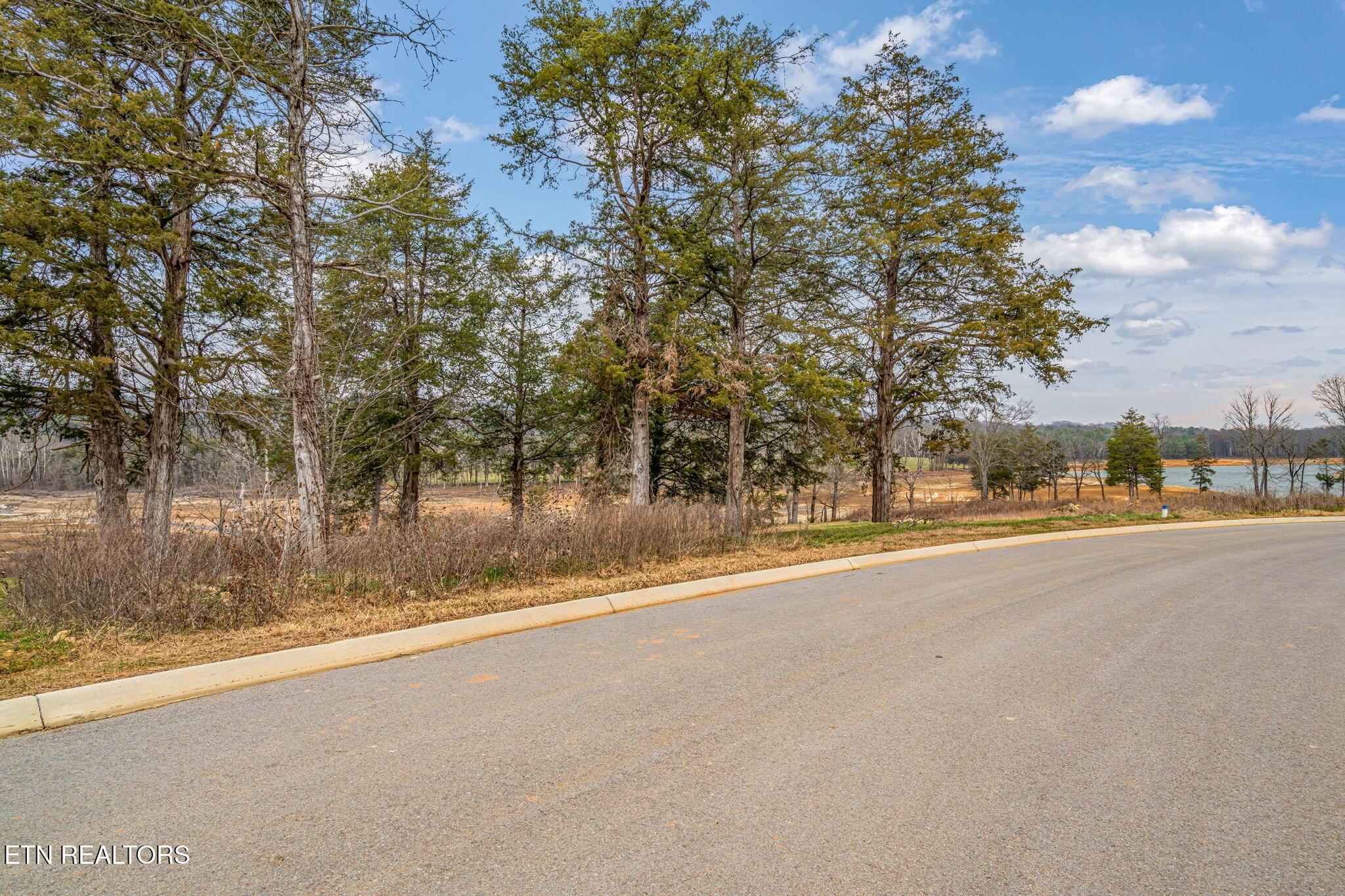 Waterfront Knoll, Sharps Chapel, TN - Norris Lake Real Estate - Image# 4