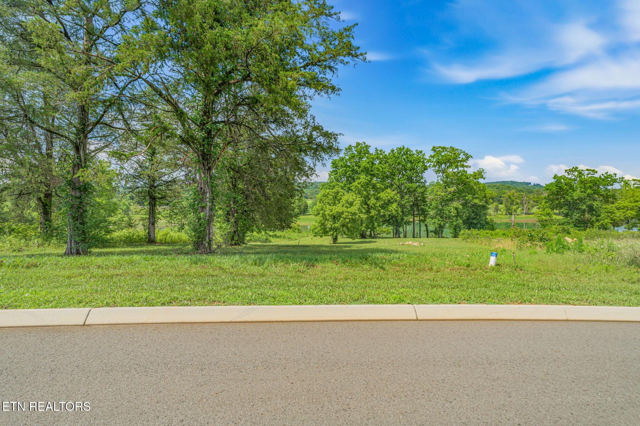 Waterfront Knoll, Sharps Chapel, TN - Norris Lake Real Estate - Image# 17