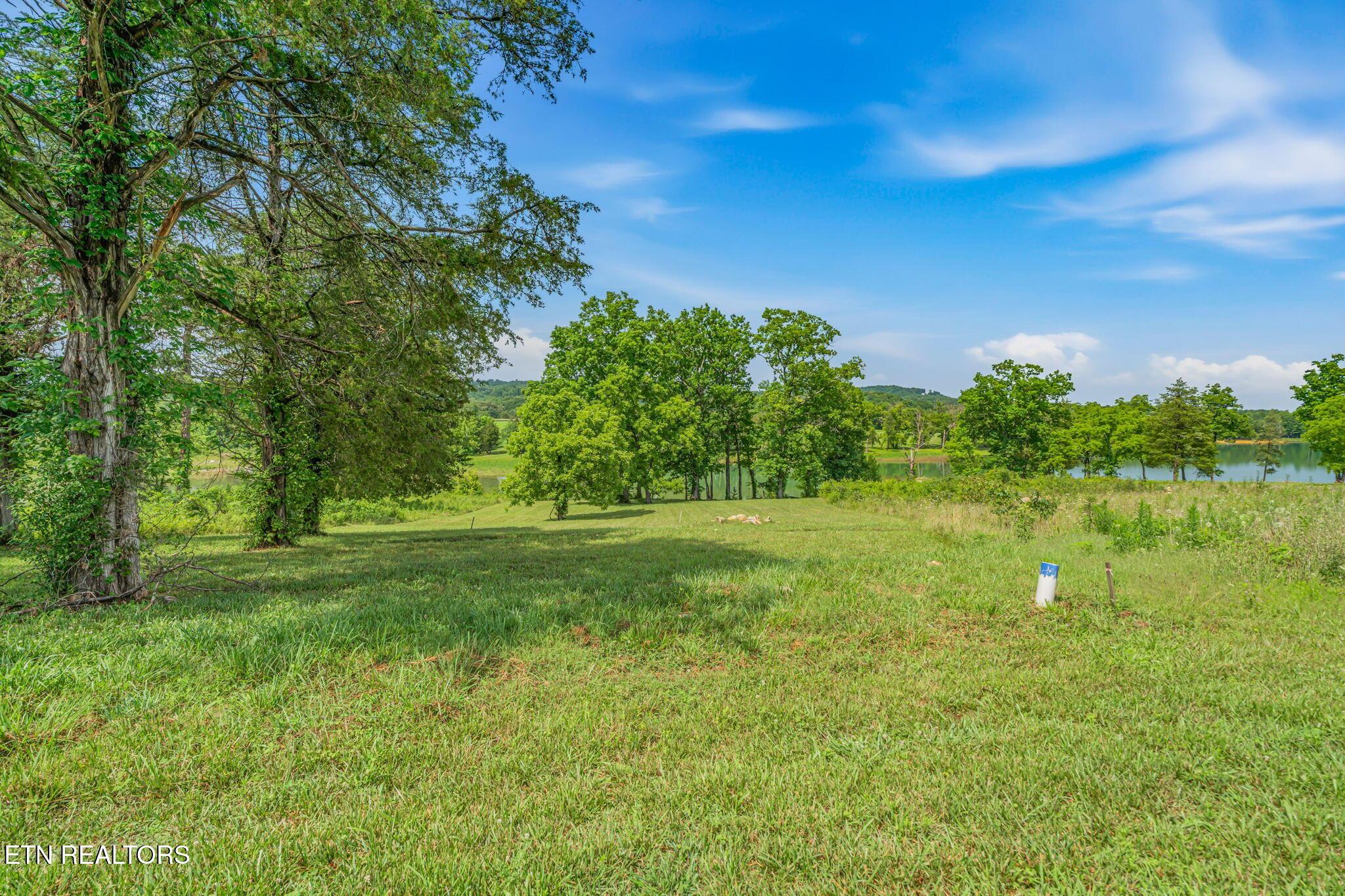 Waterfront Knoll, Sharps Chapel, TN - Norris Lake Real Estate - Image# 19