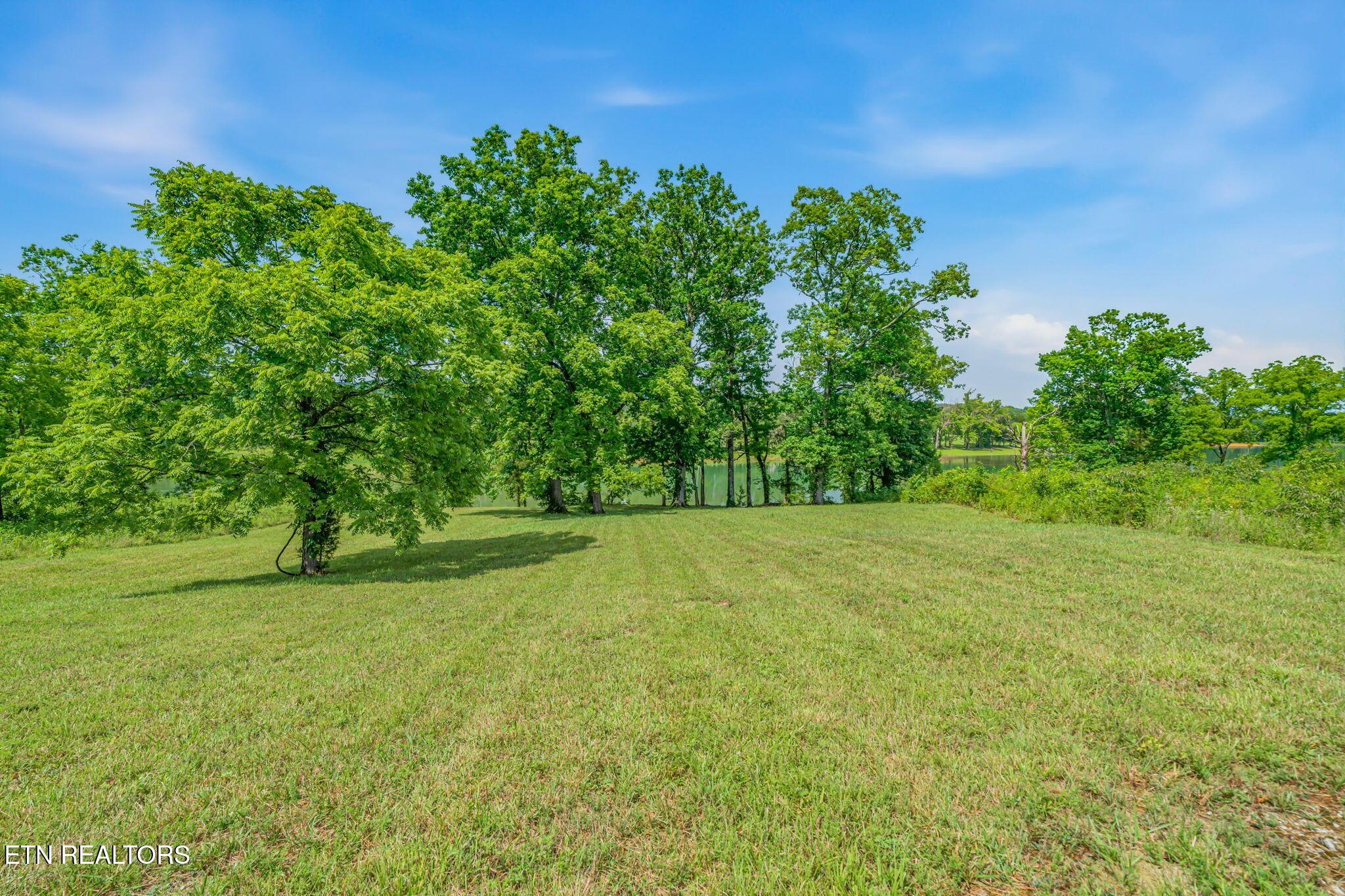 Waterfront Knoll, Sharps Chapel, TN - Norris Lake Real Estate - Image# 18