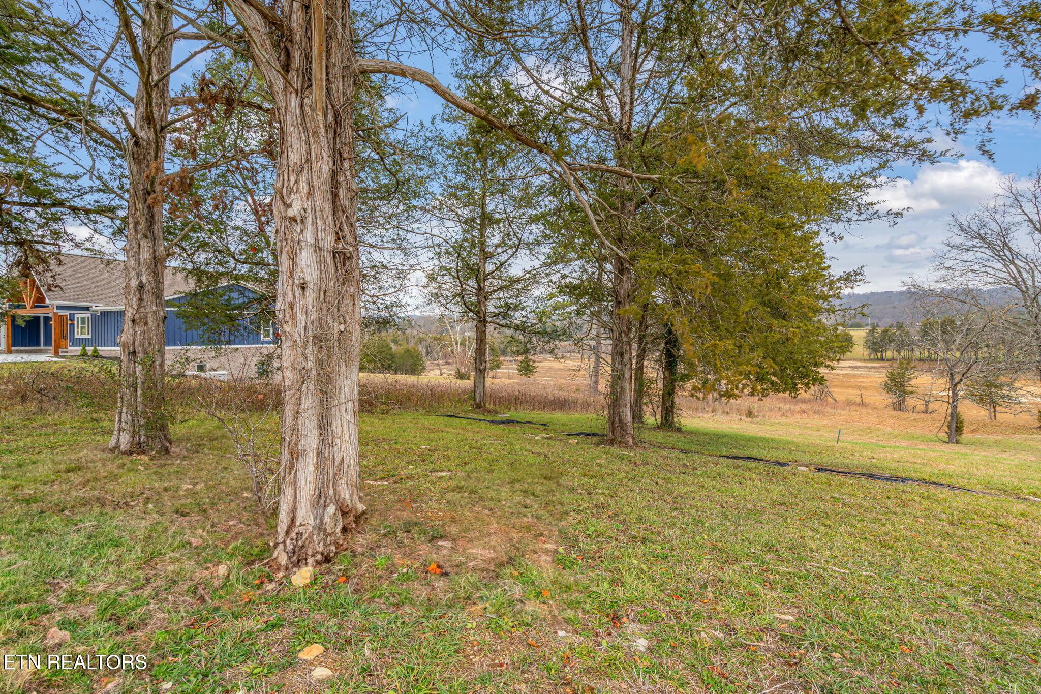 Norris Lake Real Estate - Image# 5