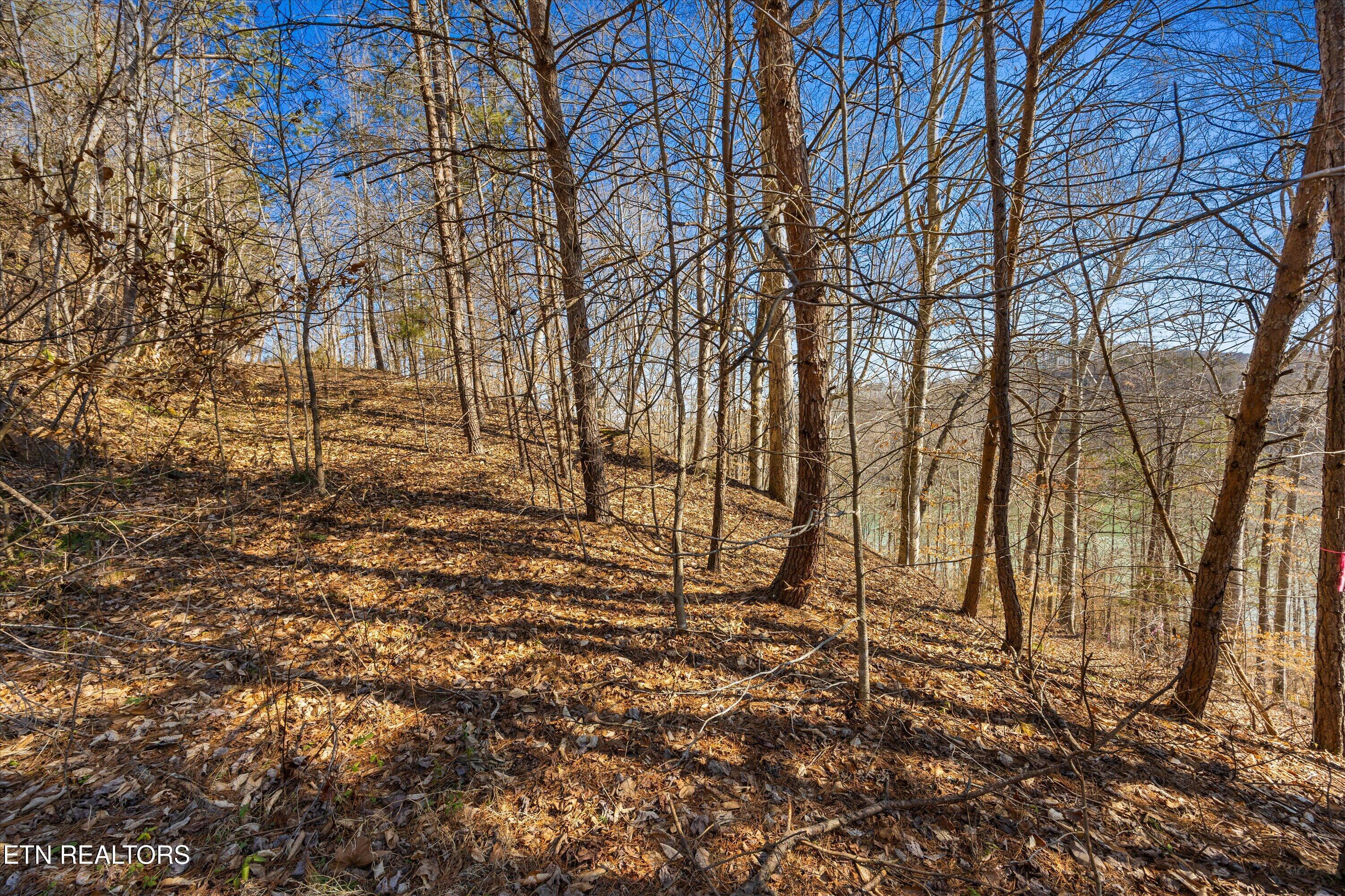 Norris Lake Real Estate - Image# 21
