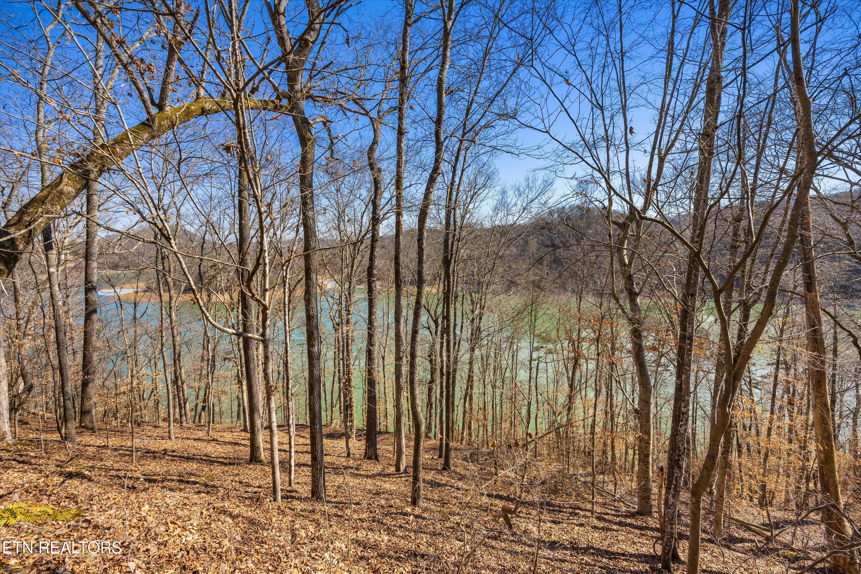 Norris Lake Real Estate - Image# 22