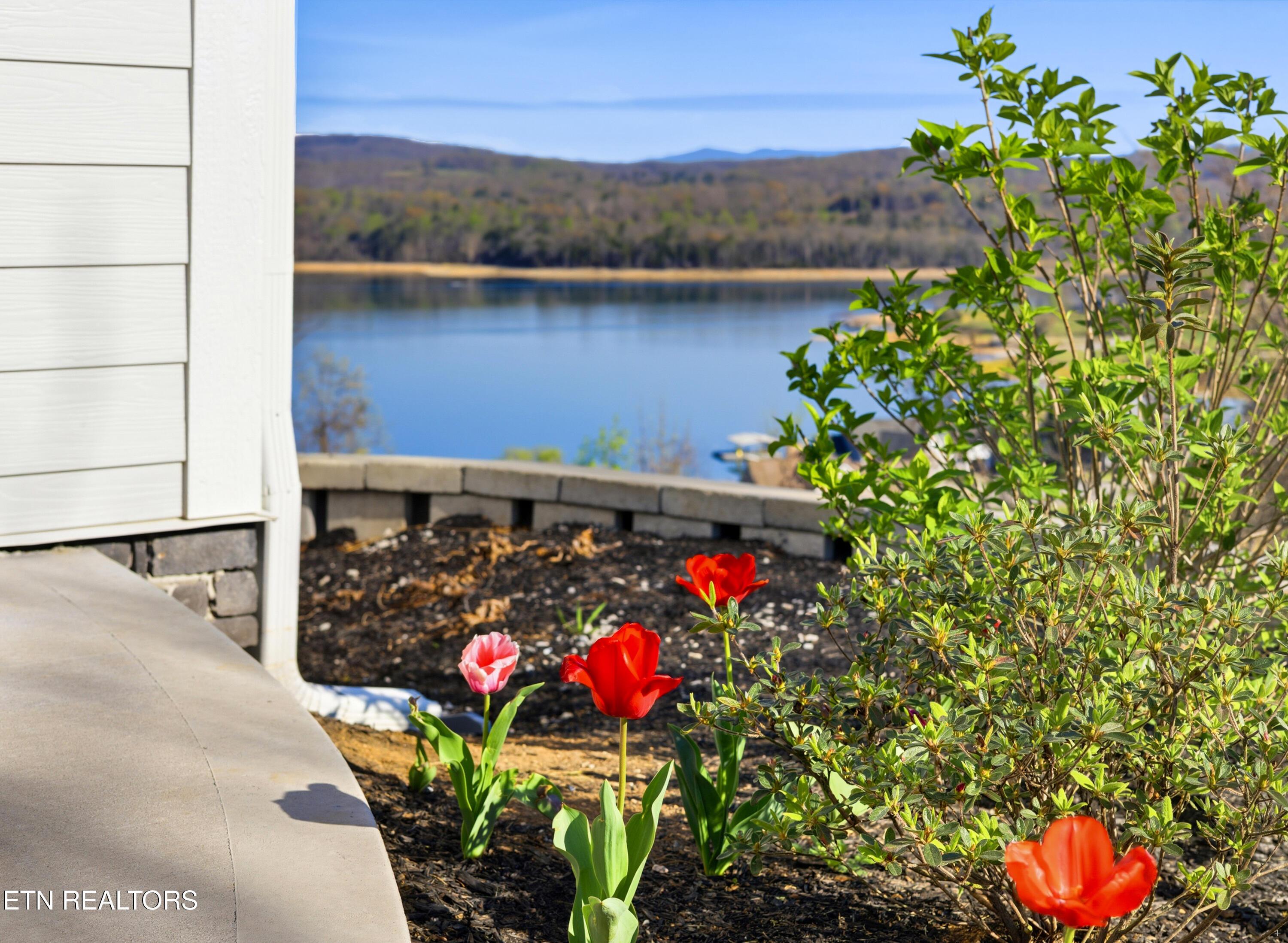 3385 Russell Brothers Rd, Sharps Chapel, TN - Norris Lake Real Estate - Image# 14