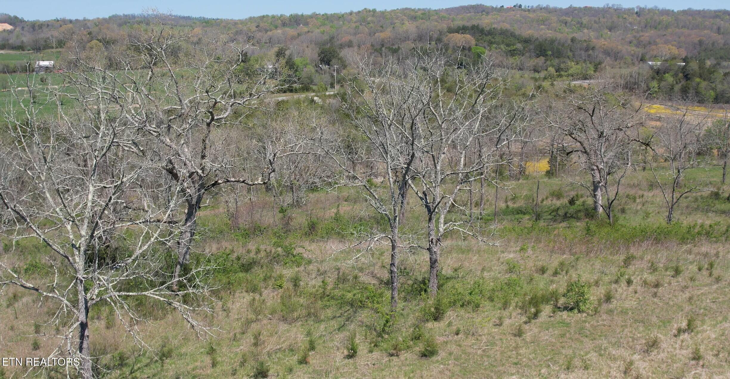Norris Lake Real Estate - Image# 44