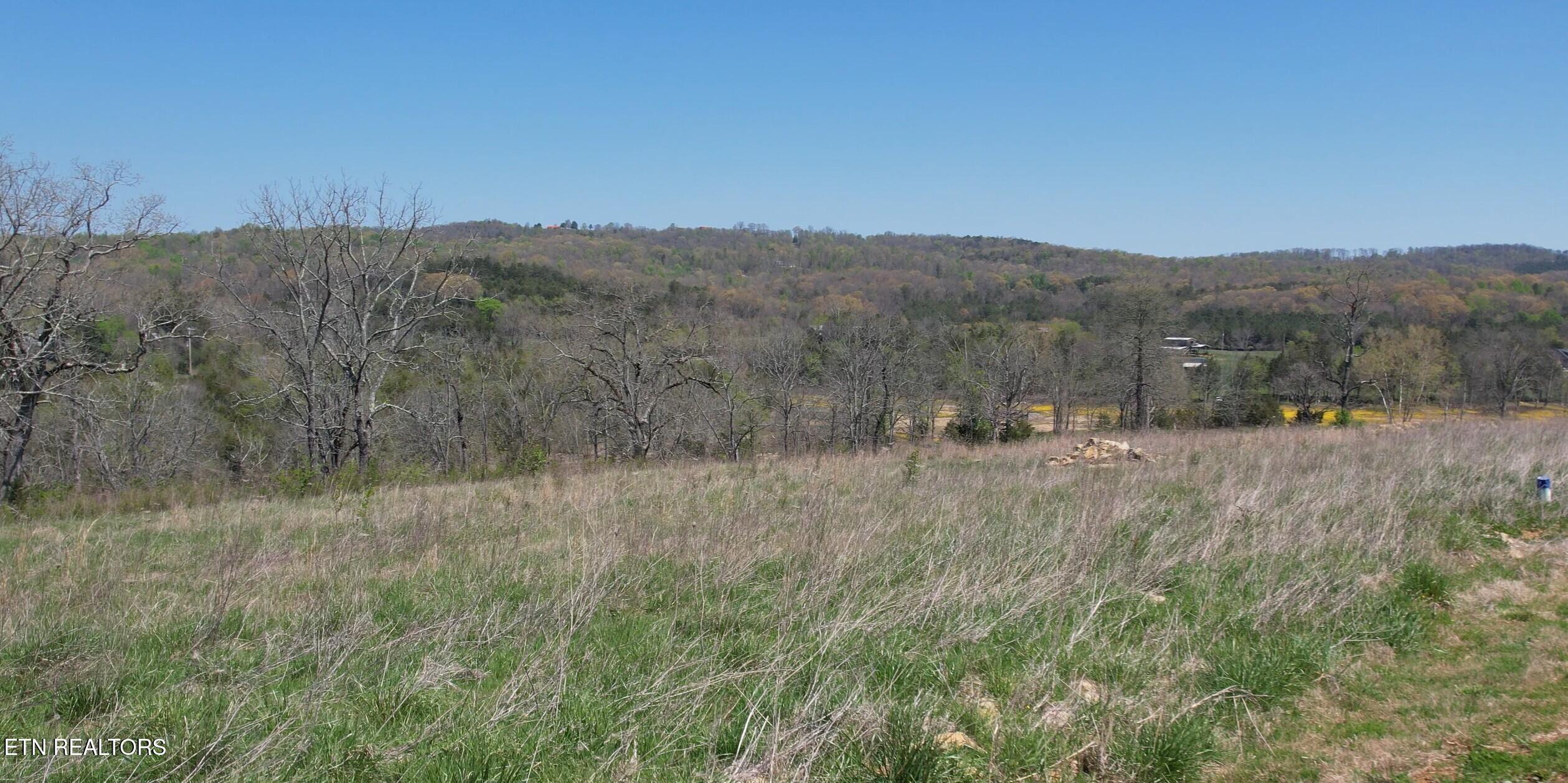 Norris Lake Real Estate - Image# 45