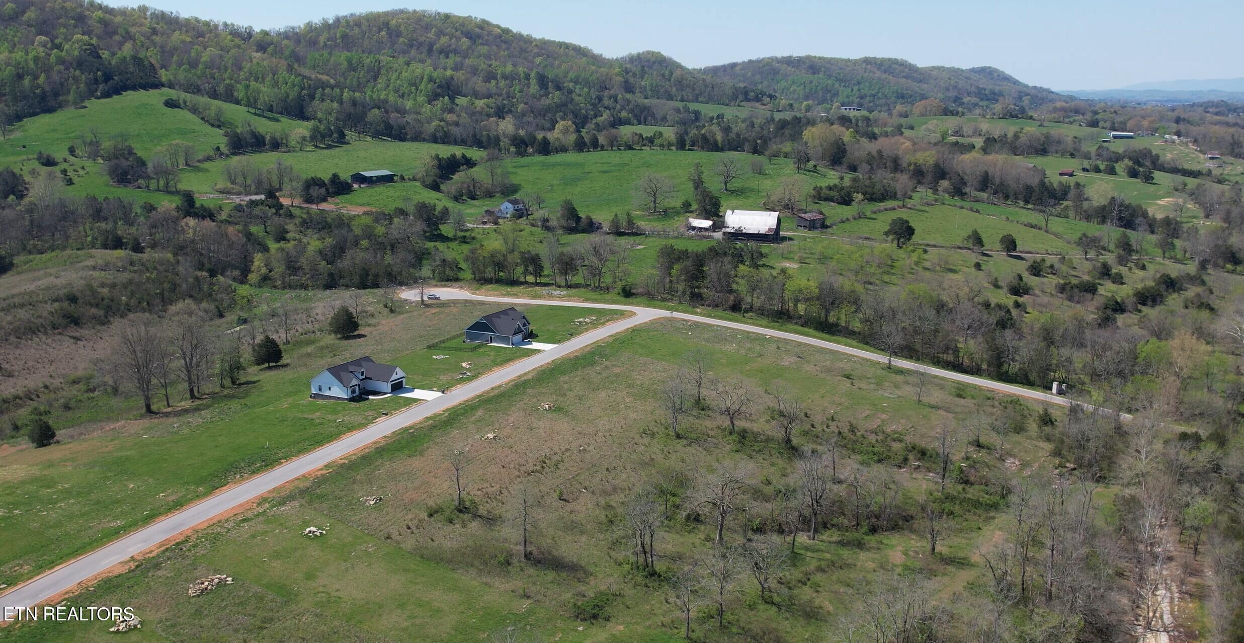 Norris Lake Real Estate - Image# 7
