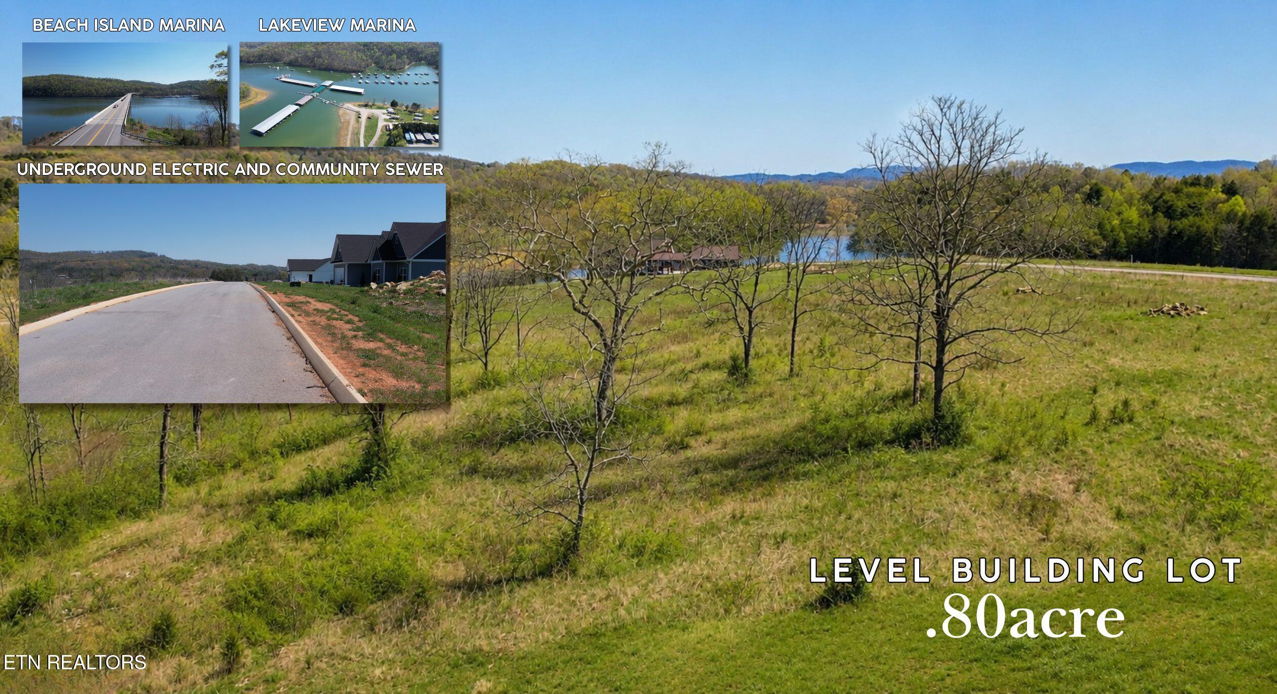 Norris Lake Real Estate - Image# 49