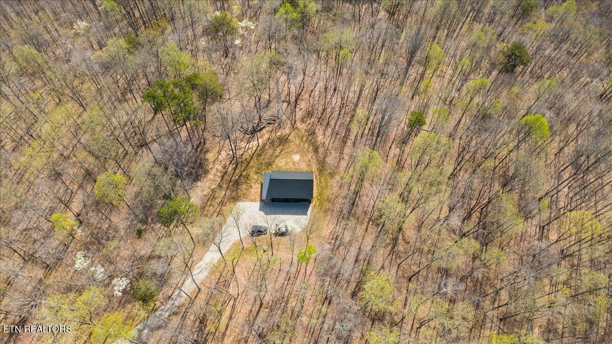Norris Lake Real Estate - Image# 11