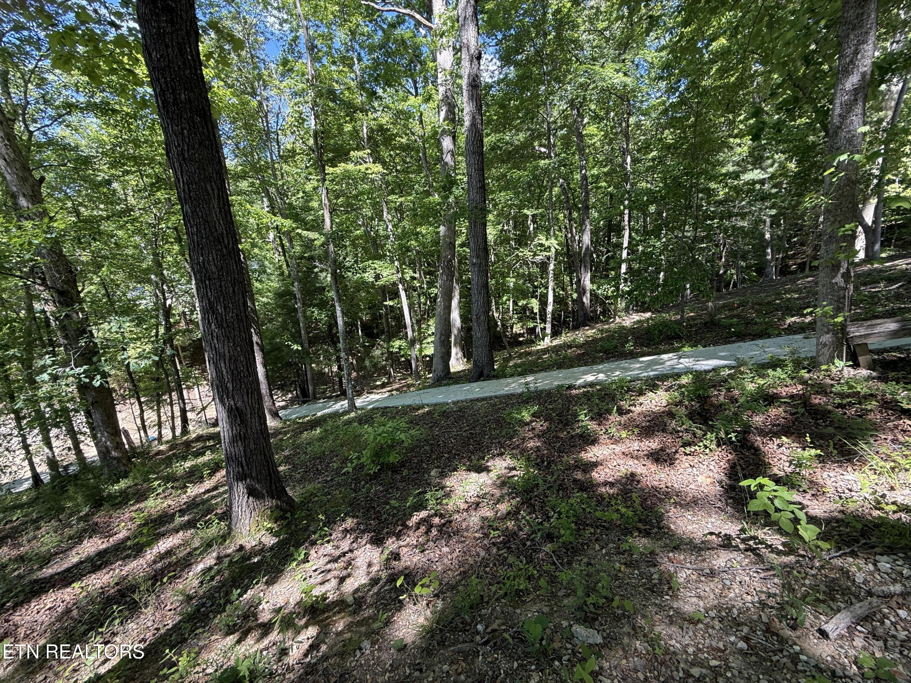 222 Big Creek Lane, Lafollette, TN - Norris Lake Real Estate - Image# 102