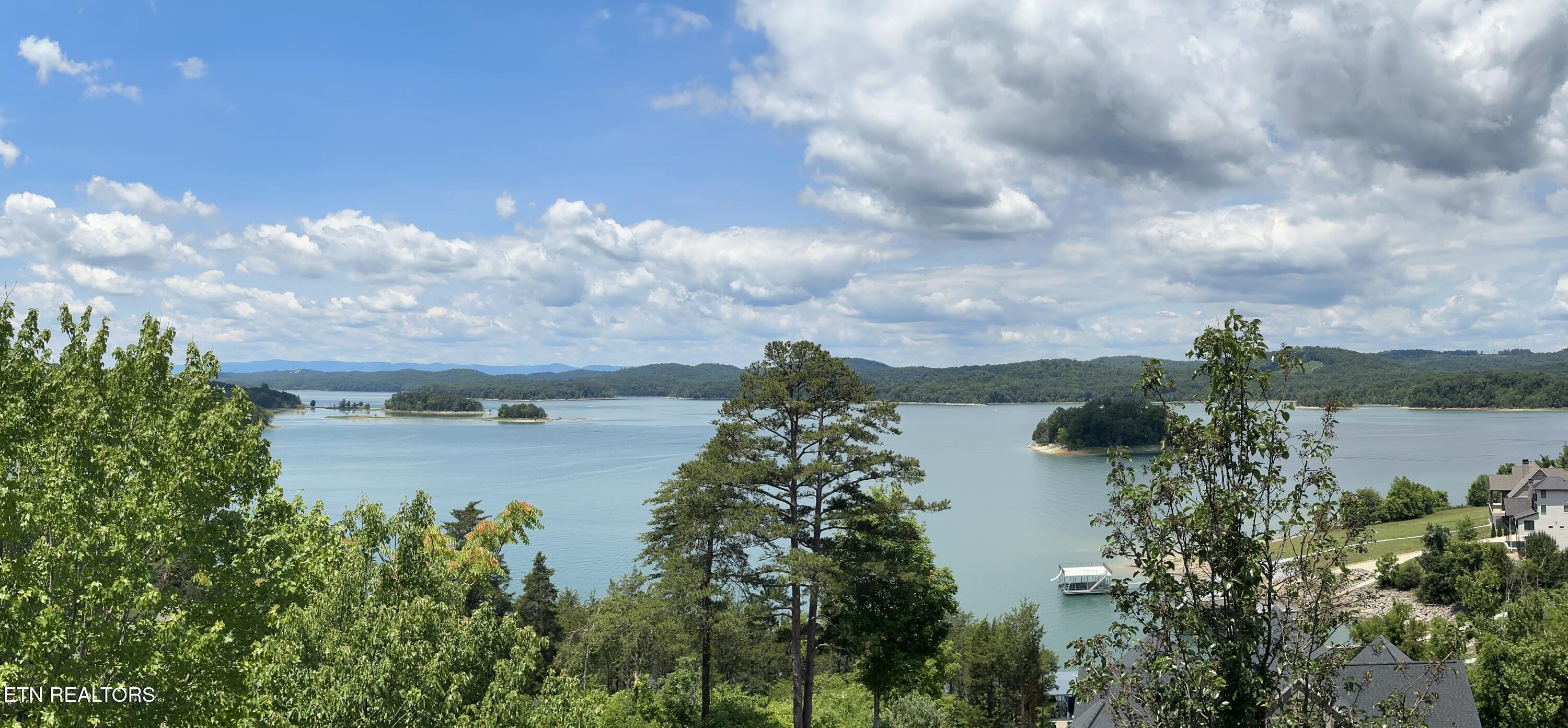 Norris Lake Real Estate - Image# 4