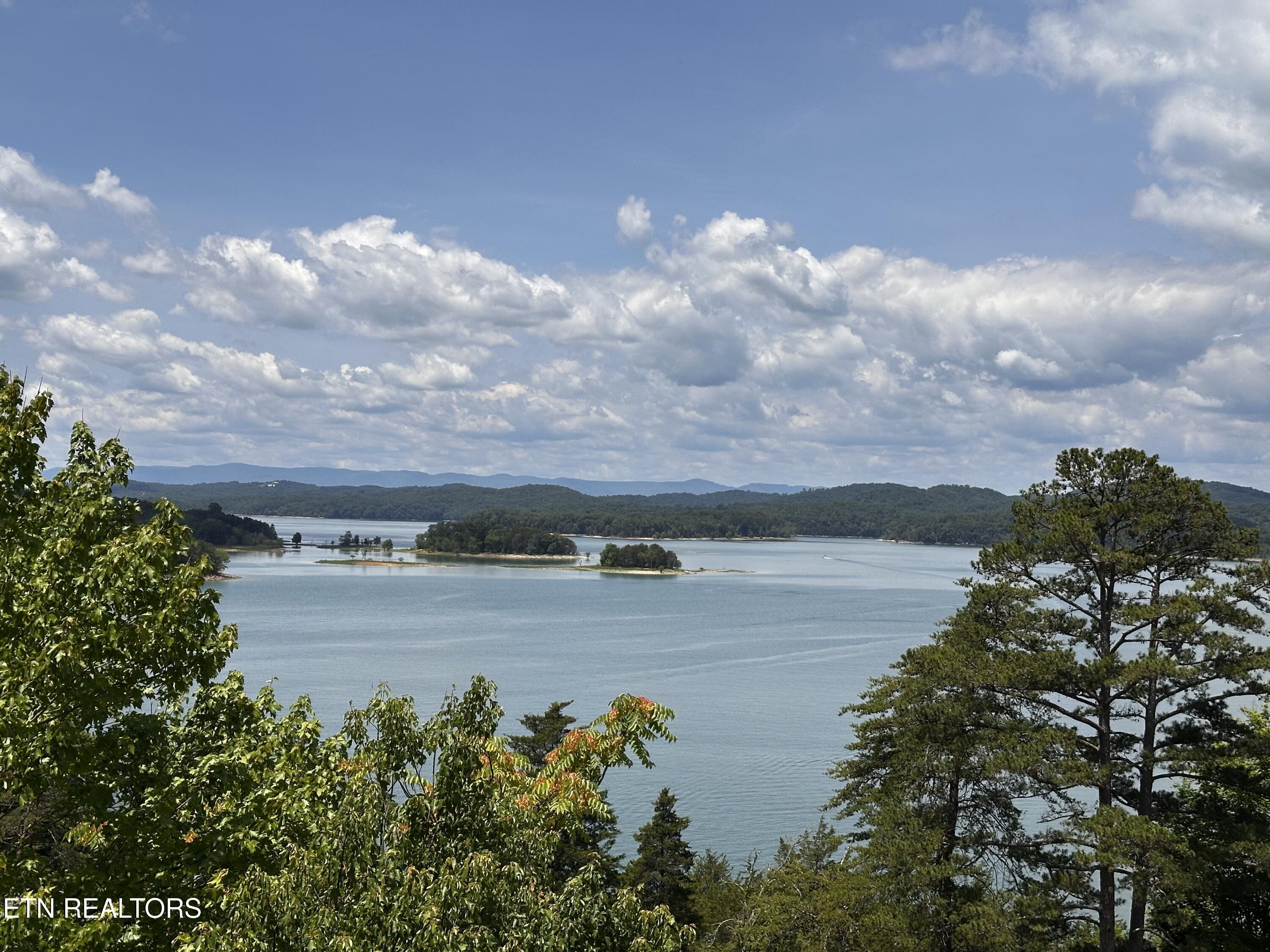 Norris Lake Real Estate - Image# 6