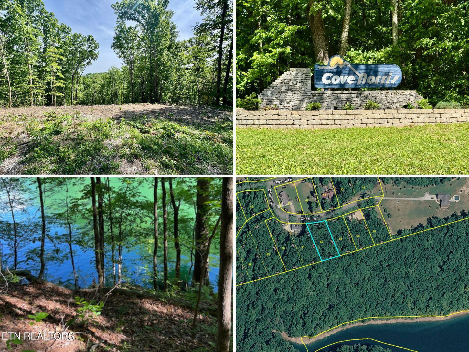 Norris Lake Real Estate - Image# 1
