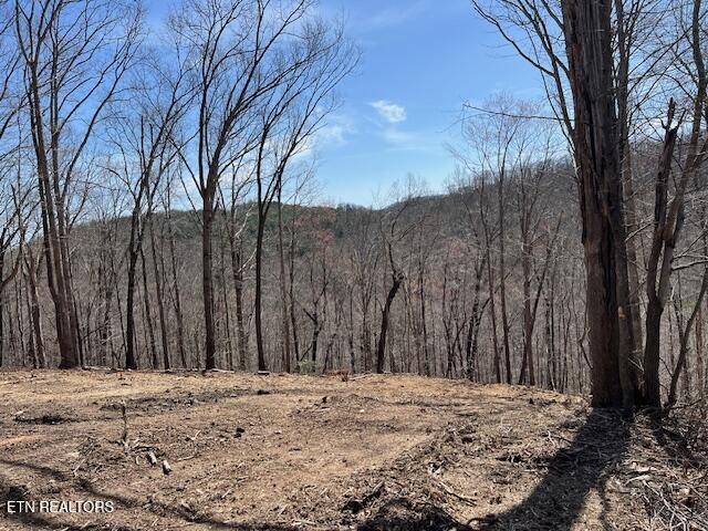 Norris Lake Real Estate - Image# 17