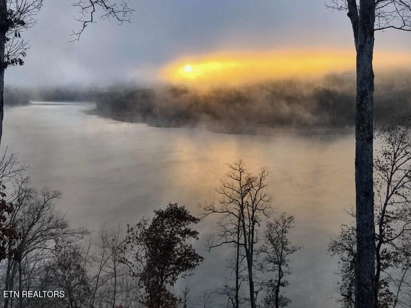 155 Island Rd, New Tazewell, TN - Norris Lake Real Estate - Image# 37