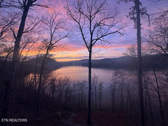 155 Island Rd, New Tazewell, TN - Norris Lake Real Estate - Image# 38