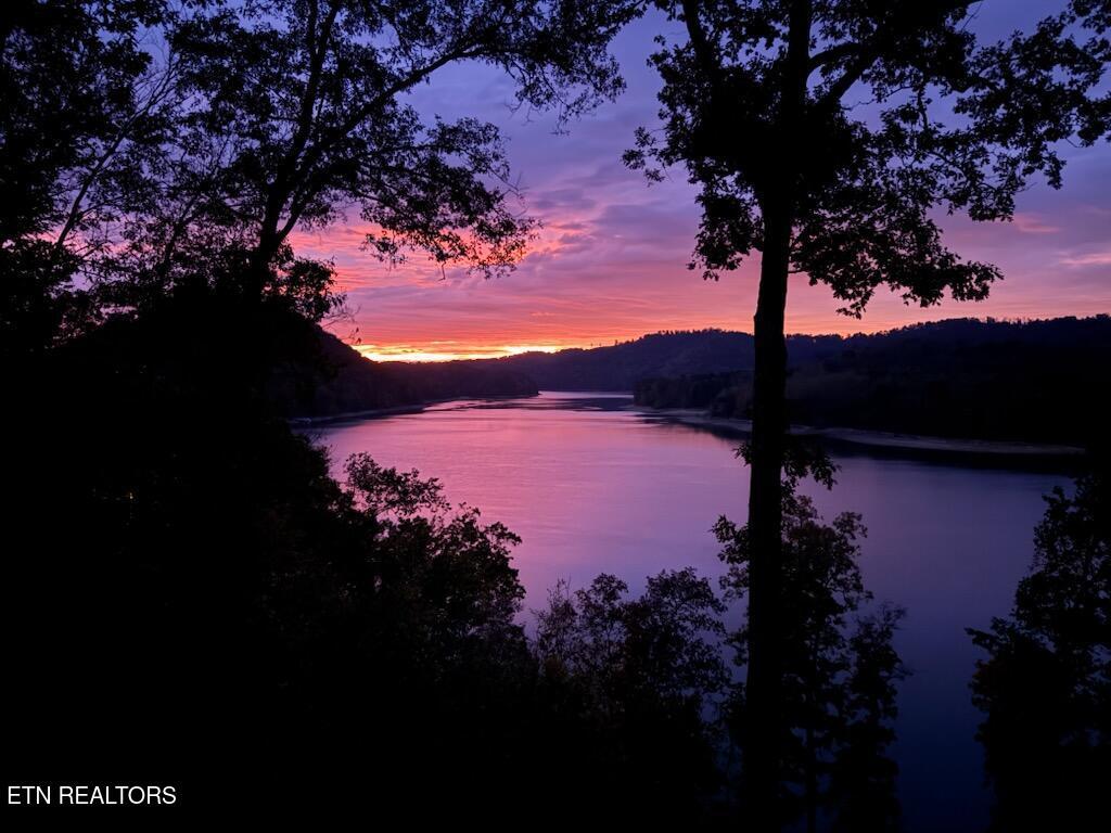 Norris Lake Real Estate - Image# 40