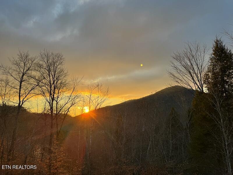 Norris Lake Real Estate - Image# 10