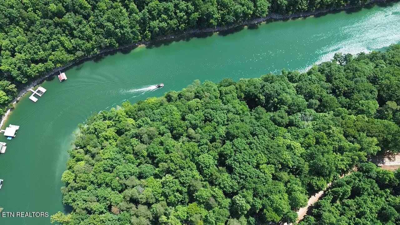 Lakemont Lane, Caryville, TN - Norris Lake Real Estate - Image# 2
