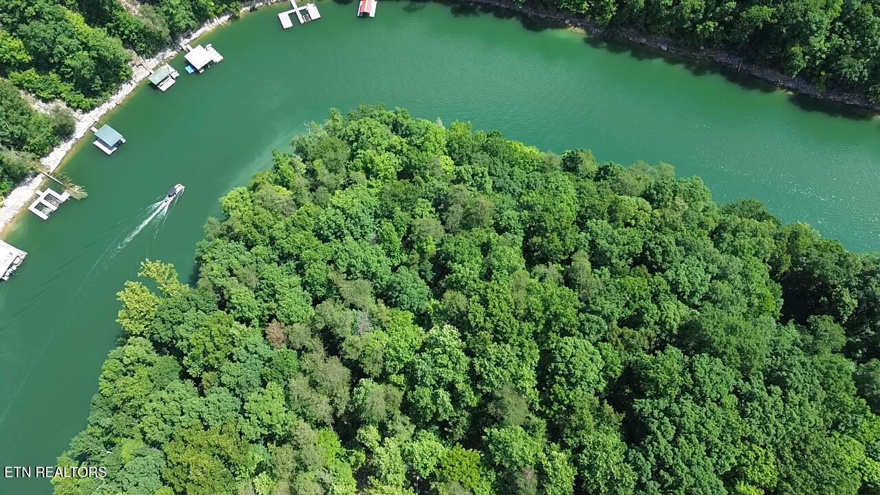 Lakemont Lane, Caryville, TN - Norris Lake Real Estate - Image# 4