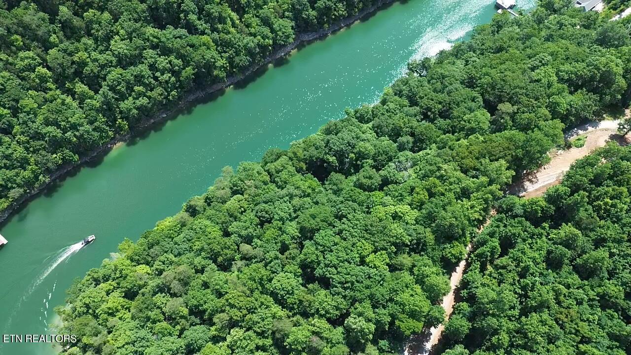 Lakemont Lane, Caryville, TN - Norris Lake Real Estate - Image# 6
