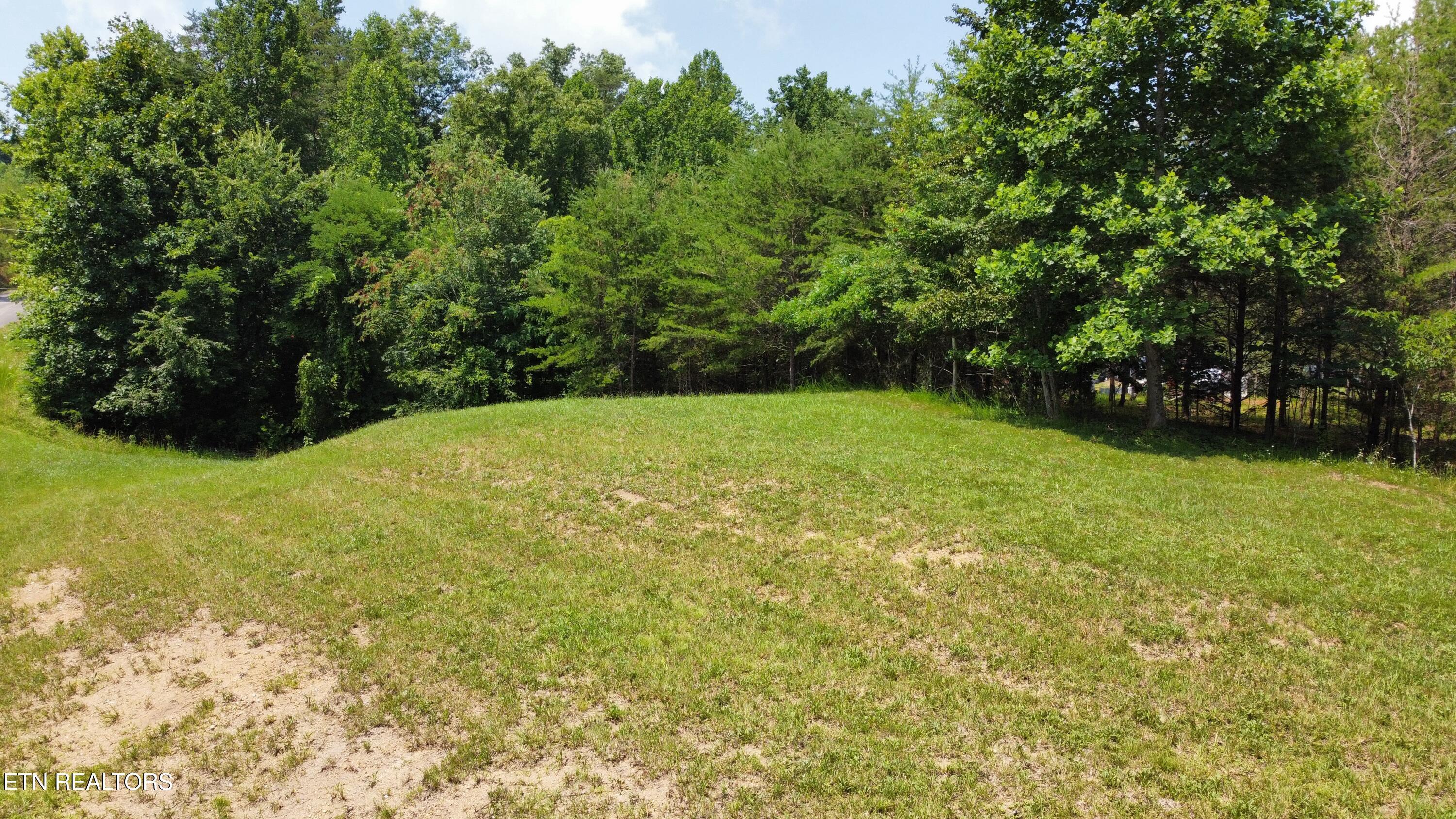 Hayden Drive, New Tazewell, TN - Norris Lake Real Estate - Image# 3