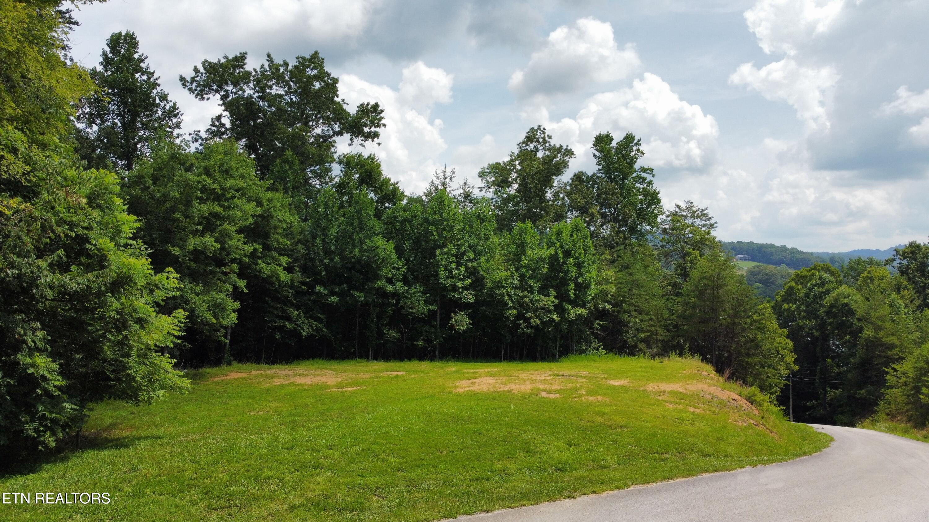 Hayden Drive, New Tazewell, TN - Norris Lake Real Estate - Image# 4