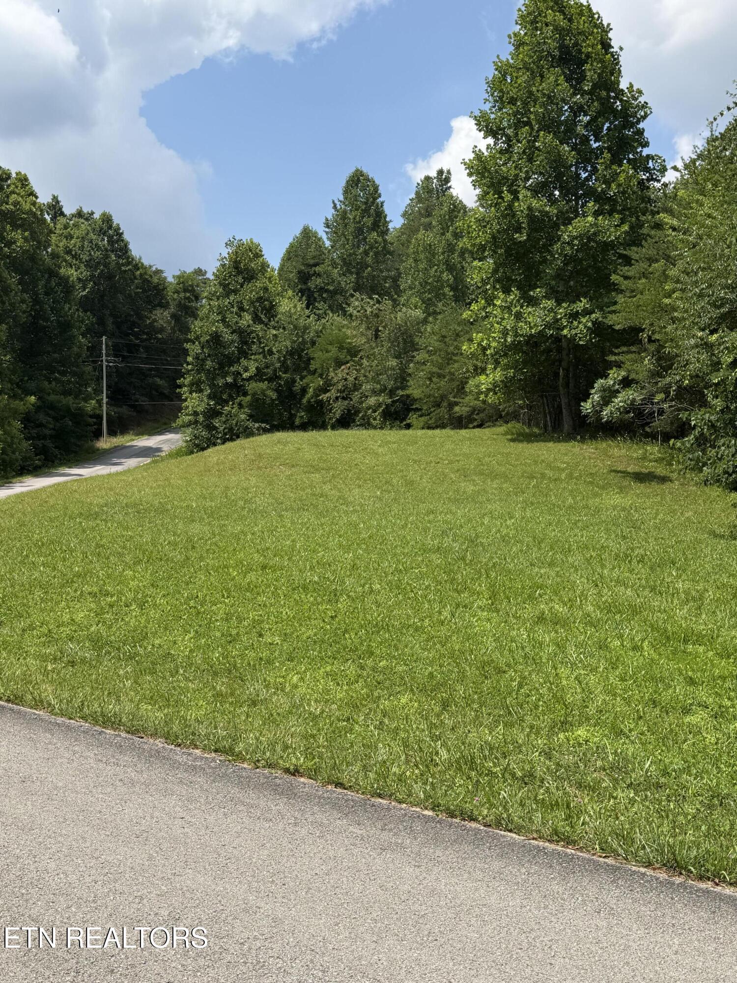 Hayden Drive, New Tazewell, TN - Norris Lake Real Estate - Image# 8