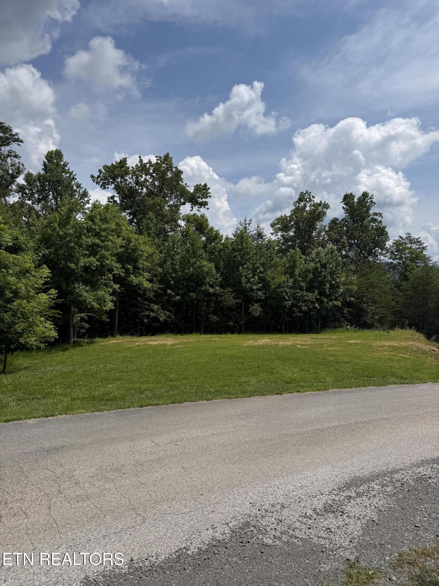 Hayden Drive, New Tazewell, TN - Norris Lake Real Estate - Image# 9