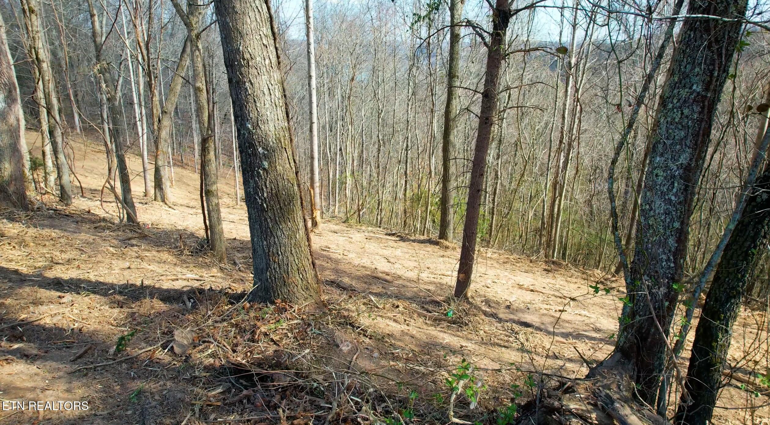 4160 Demory Rd, Lafollette, TN - Norris Lake Real Estate - Image# 12