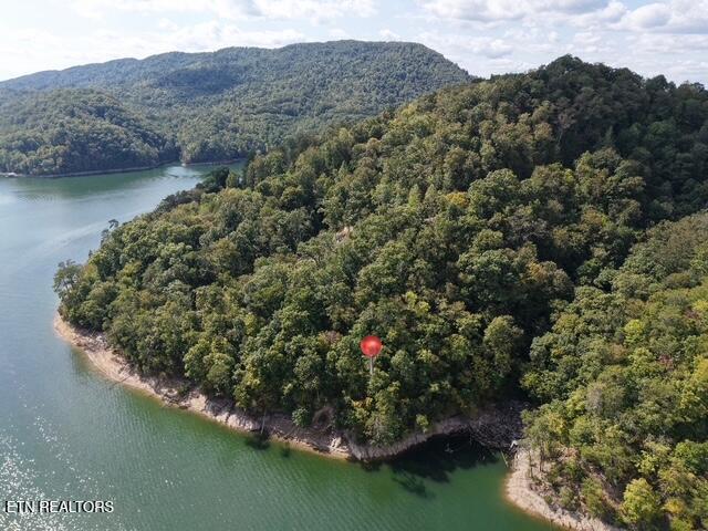 Lot 875 Clearwater Rd, New Tazewell, TN - Norris Lake Real Estate - Image# 1