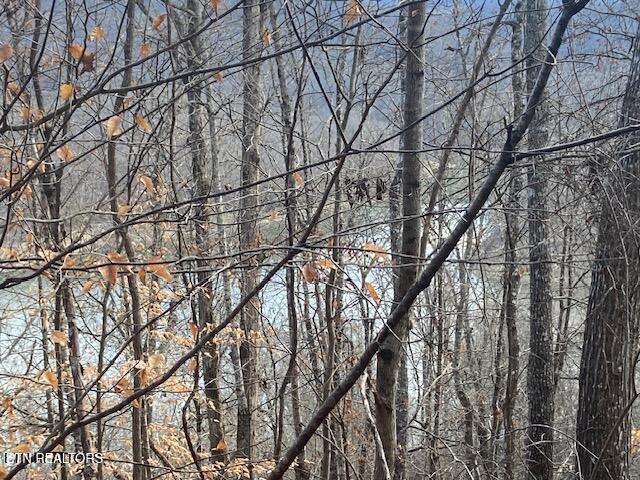 Lot 875 Clearwater Rd, New Tazewell, TN - Norris Lake Real Estate - Image# 6