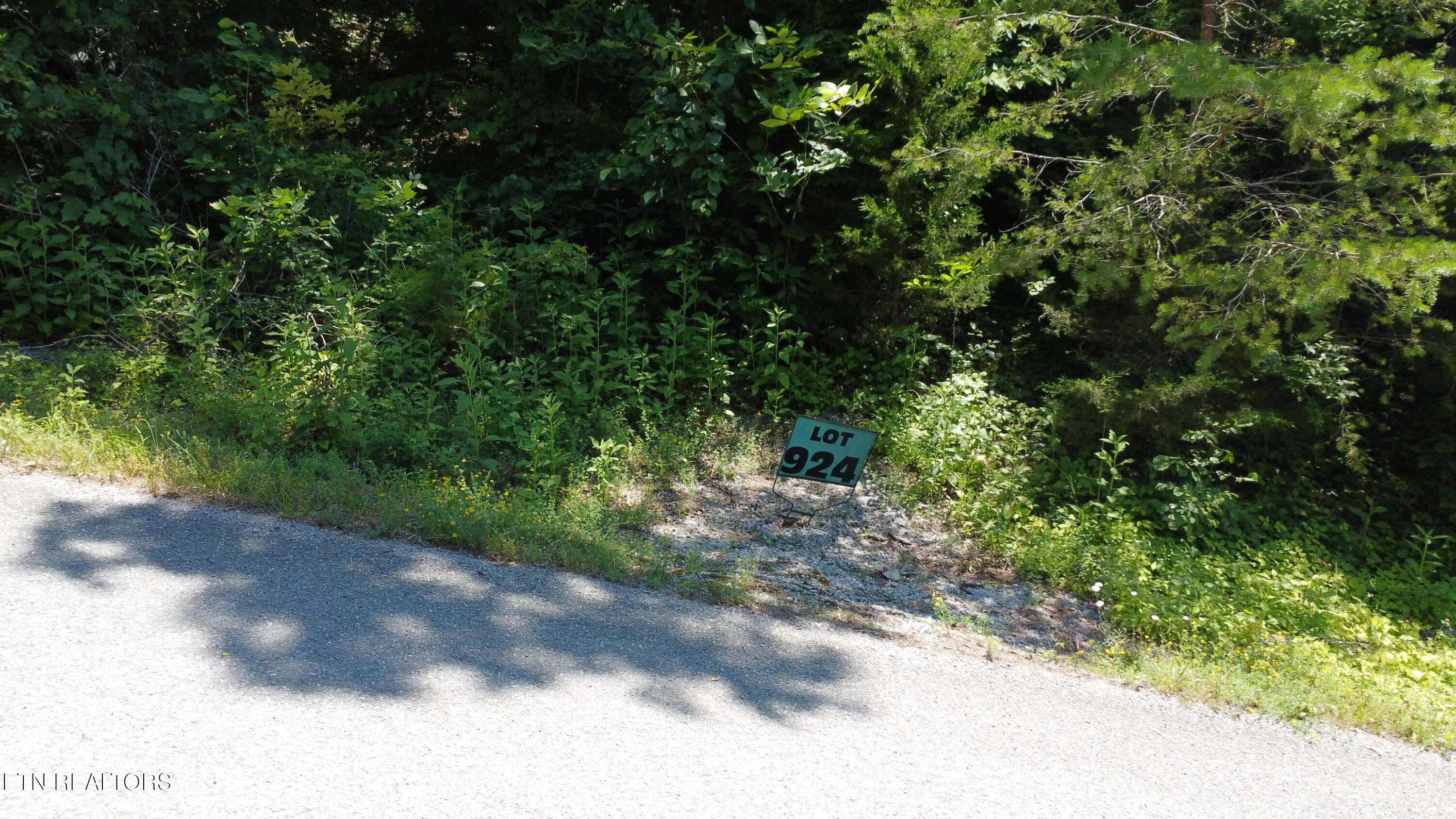 Larayne Hollow Rd, Sharps Chapel, TN - Norris Lake Real Estate - Image# 6