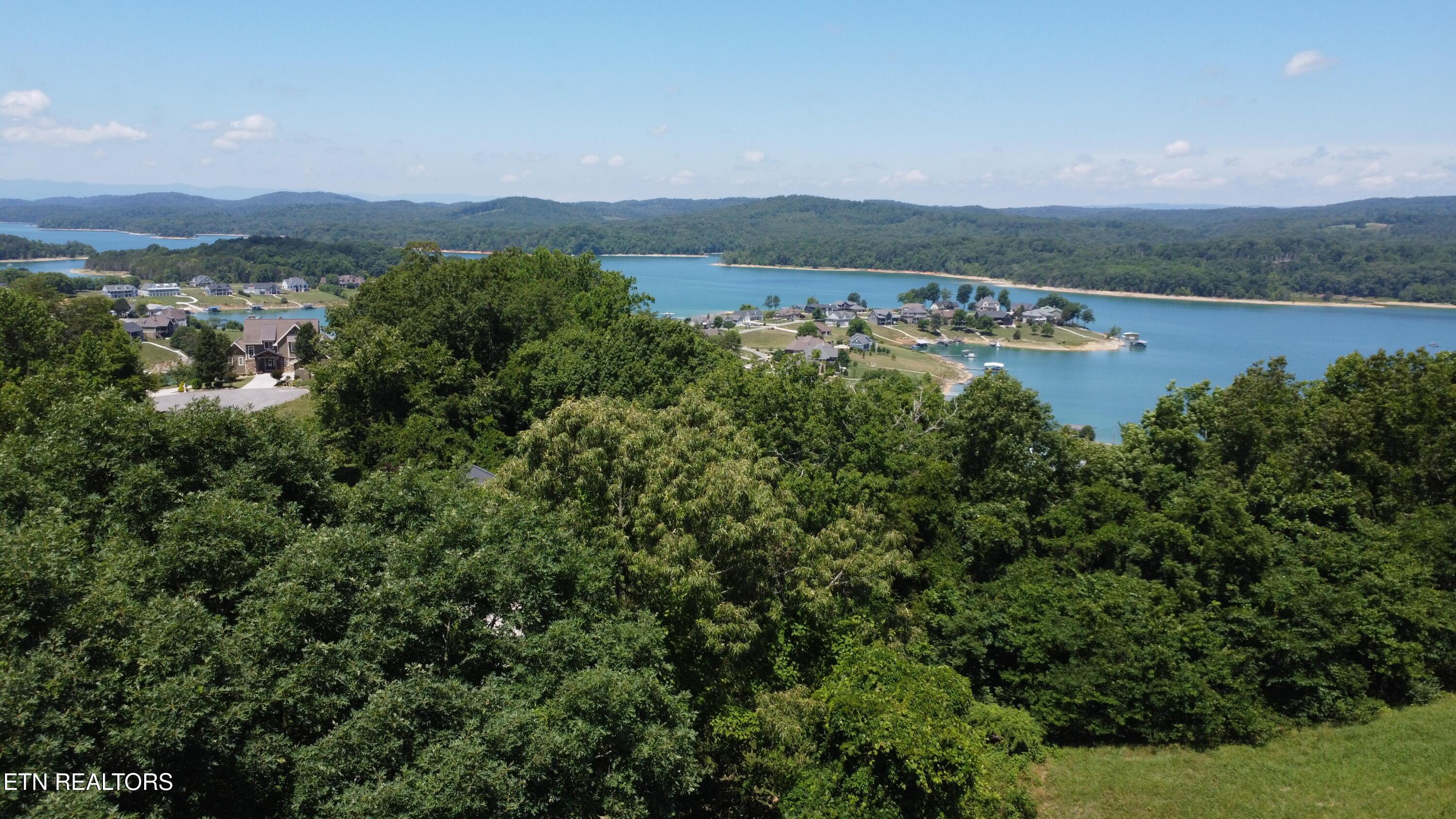 Larayne Hollow Rd, Sharps Chapel, TN - Norris Lake Real Estate - Image# 2