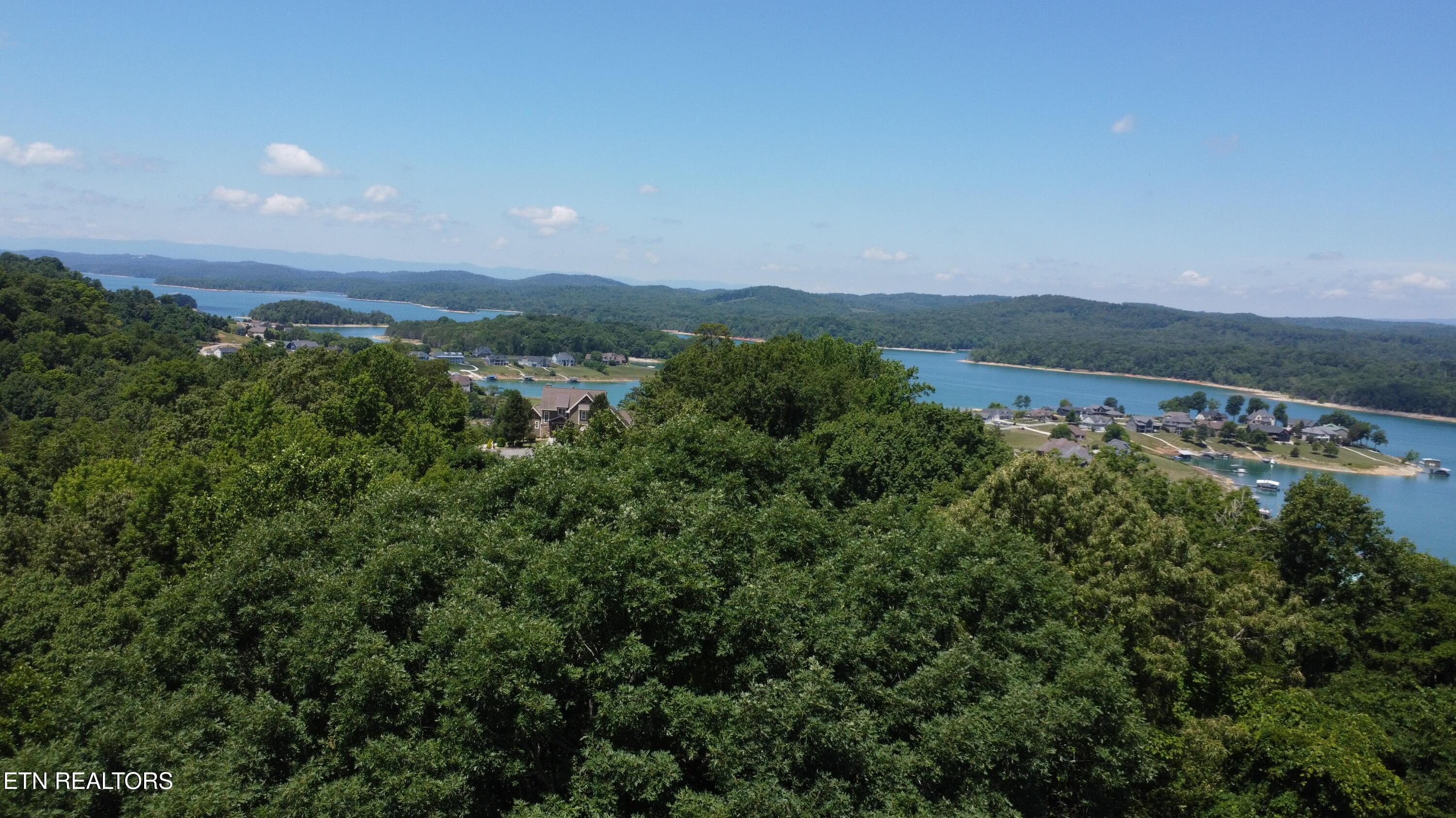 Larayne Hollow Rd, Sharps Chapel, TN - Norris Lake Real Estate - Image# 7