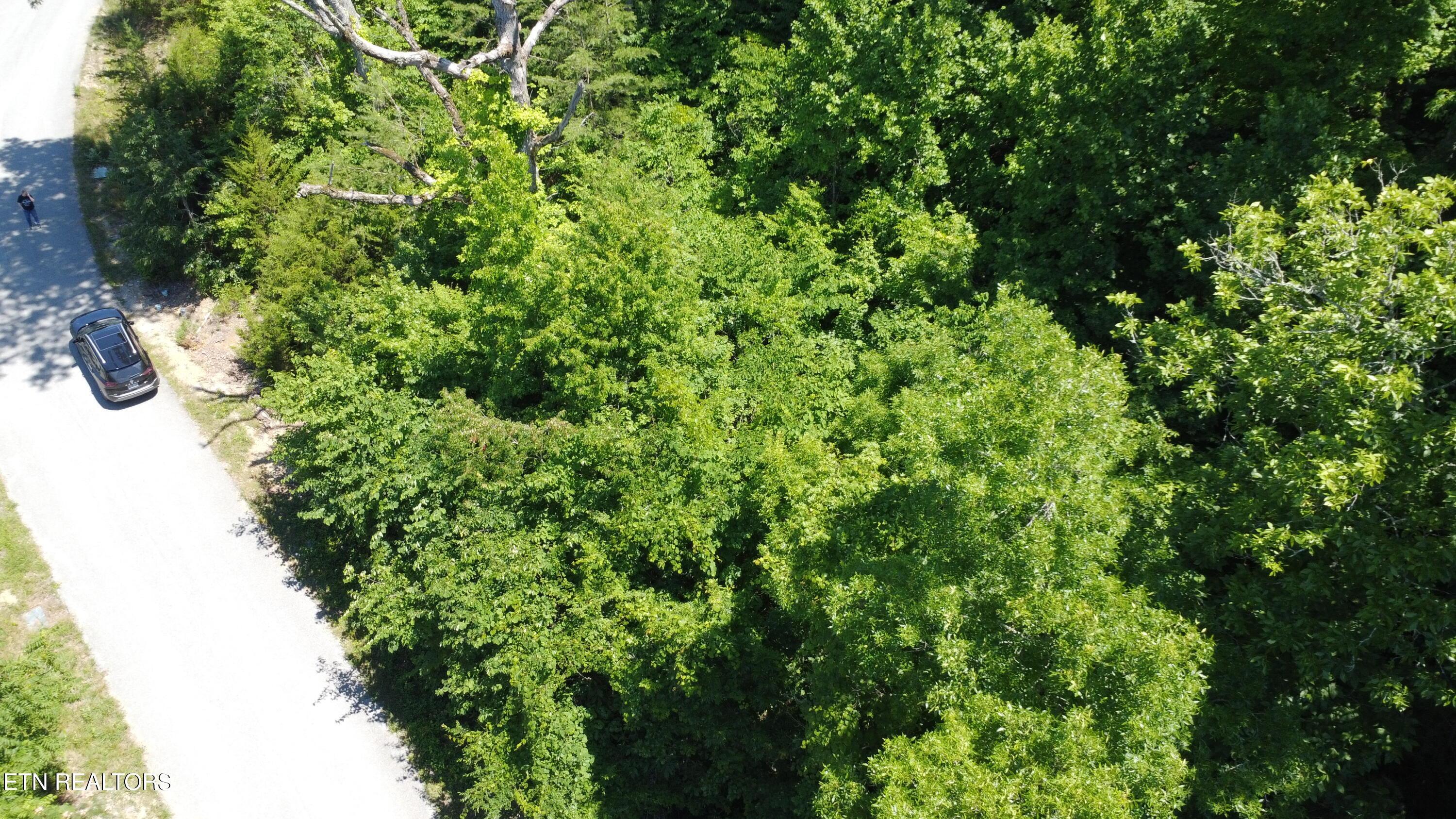 Larayne Hollow Rd, Sharps Chapel, TN - Norris Lake Real Estate - Image# 3