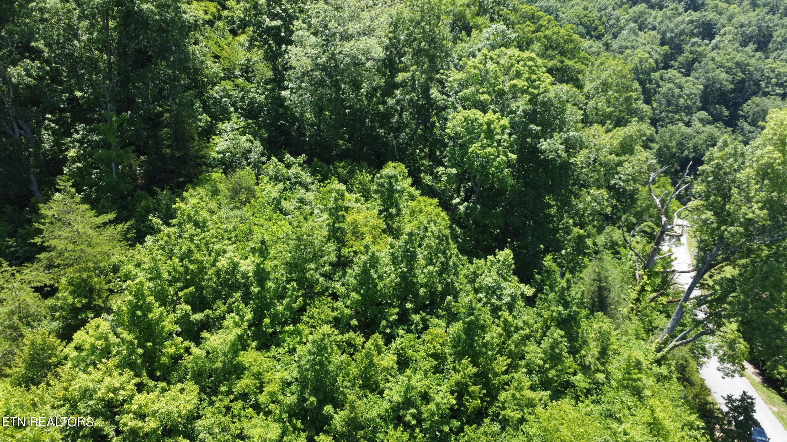 Larayne Hollow Rd, Sharps Chapel, TN - Norris Lake Real Estate - Image# 4
