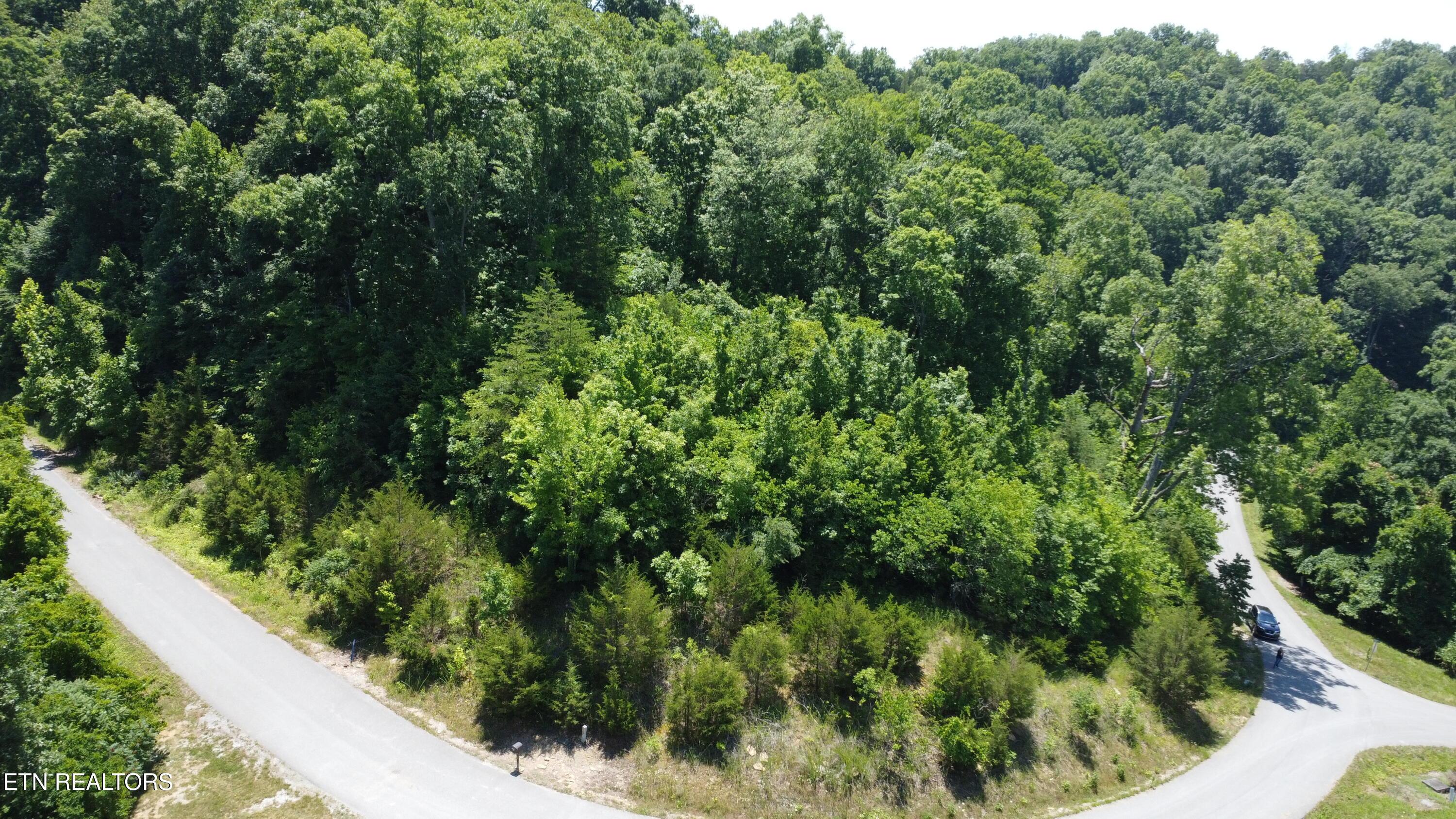 Larayne Hollow Rd, Sharps Chapel, TN - Norris Lake Real Estate - Image# 5