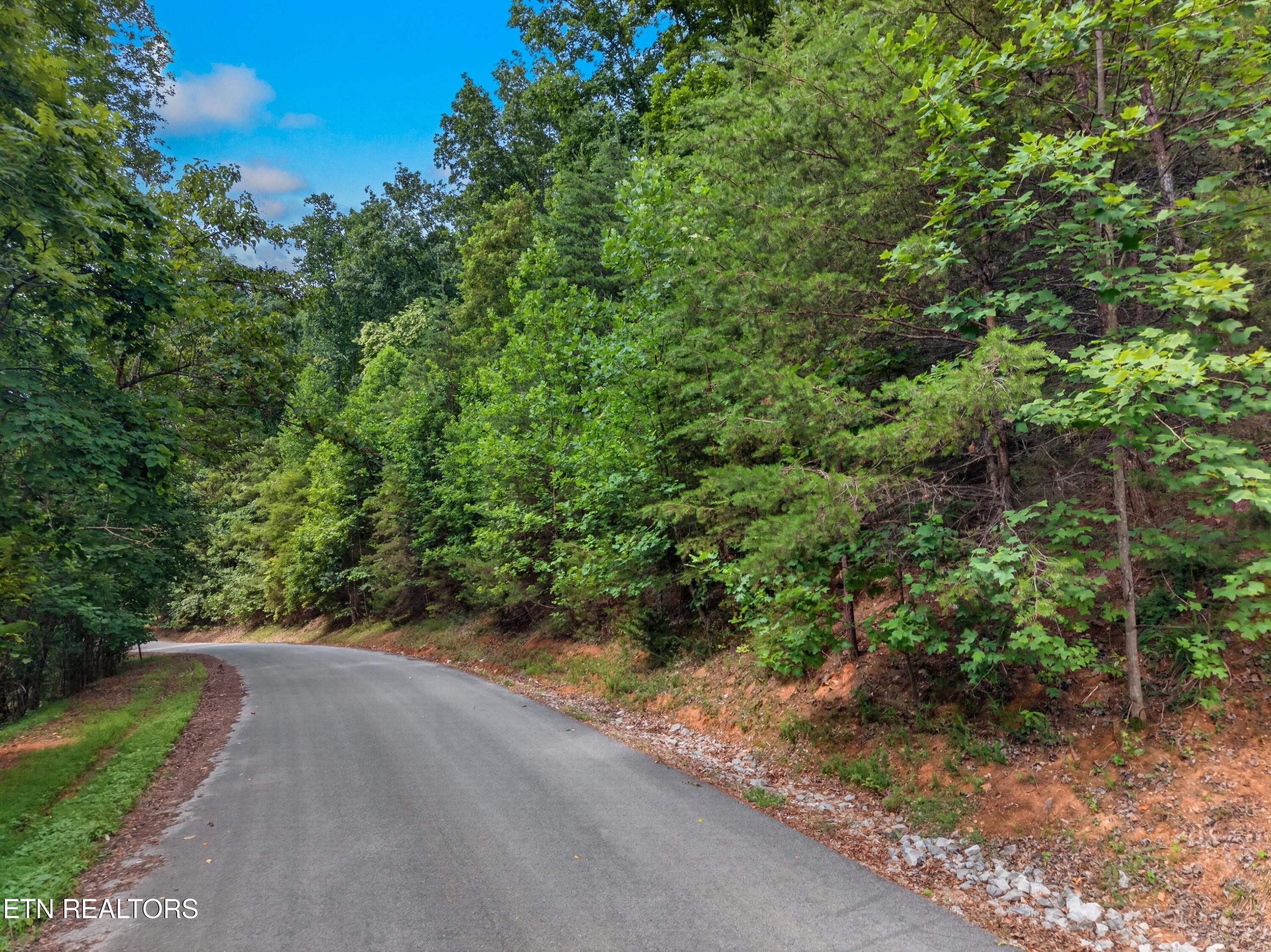 Silver Tr, New Tazewell, TN - Norris Lake Real Estate - Image# 2