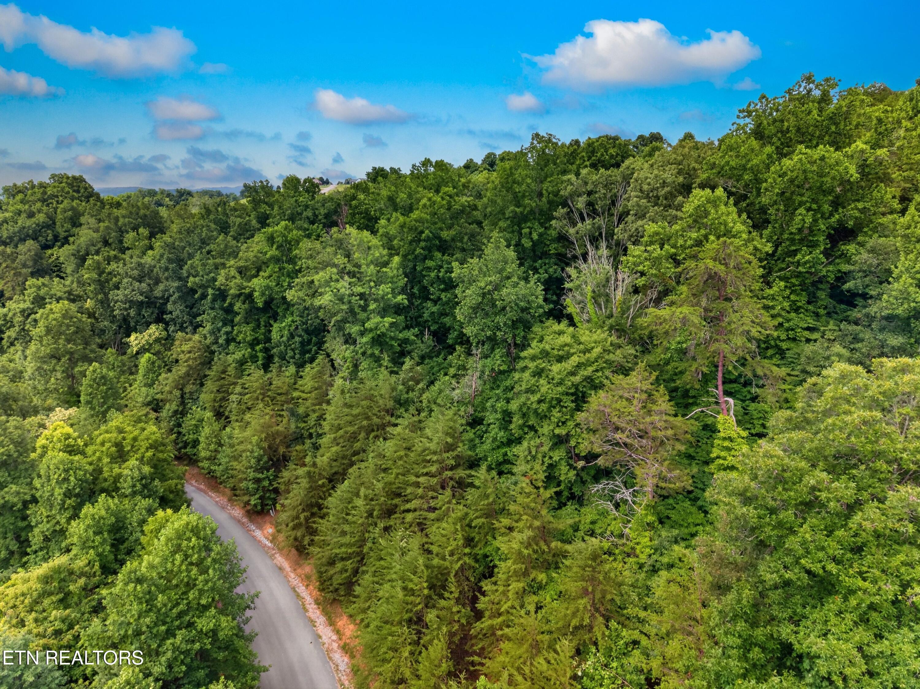 Silver Tr, New Tazewell, TN - Norris Lake Real Estate - Image# 3