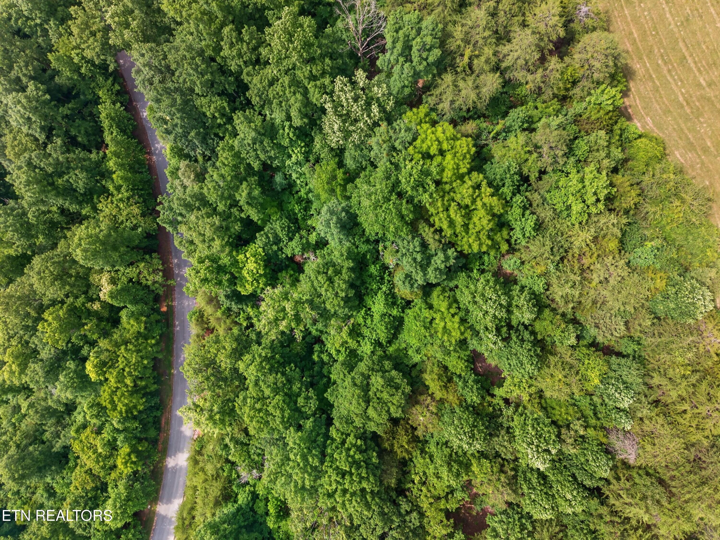 Silver Tr, New Tazewell, TN - Norris Lake Real Estate - Image# 5