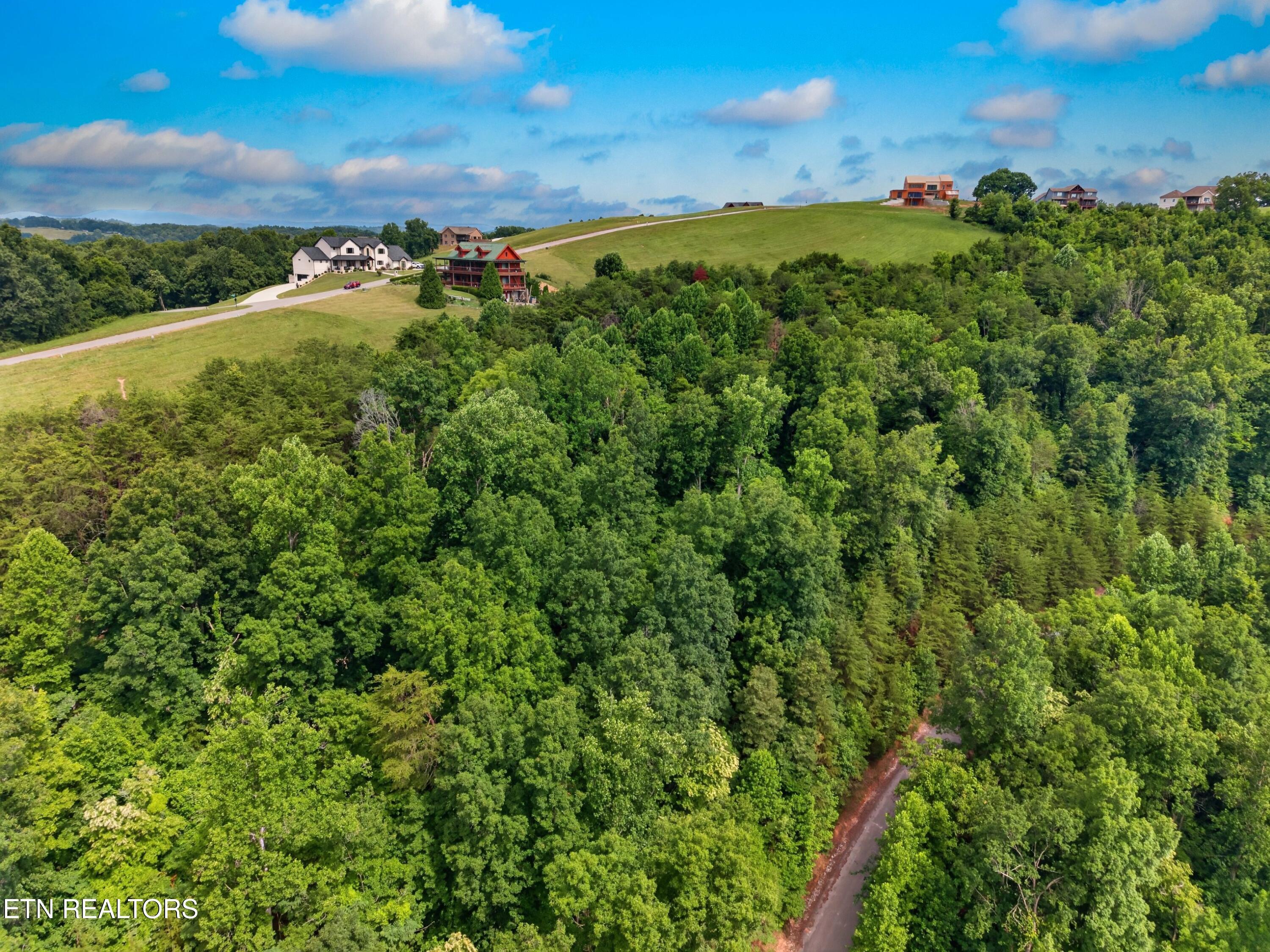 Silver Tr, New Tazewell, TN - Norris Lake Real Estate - Image# 6